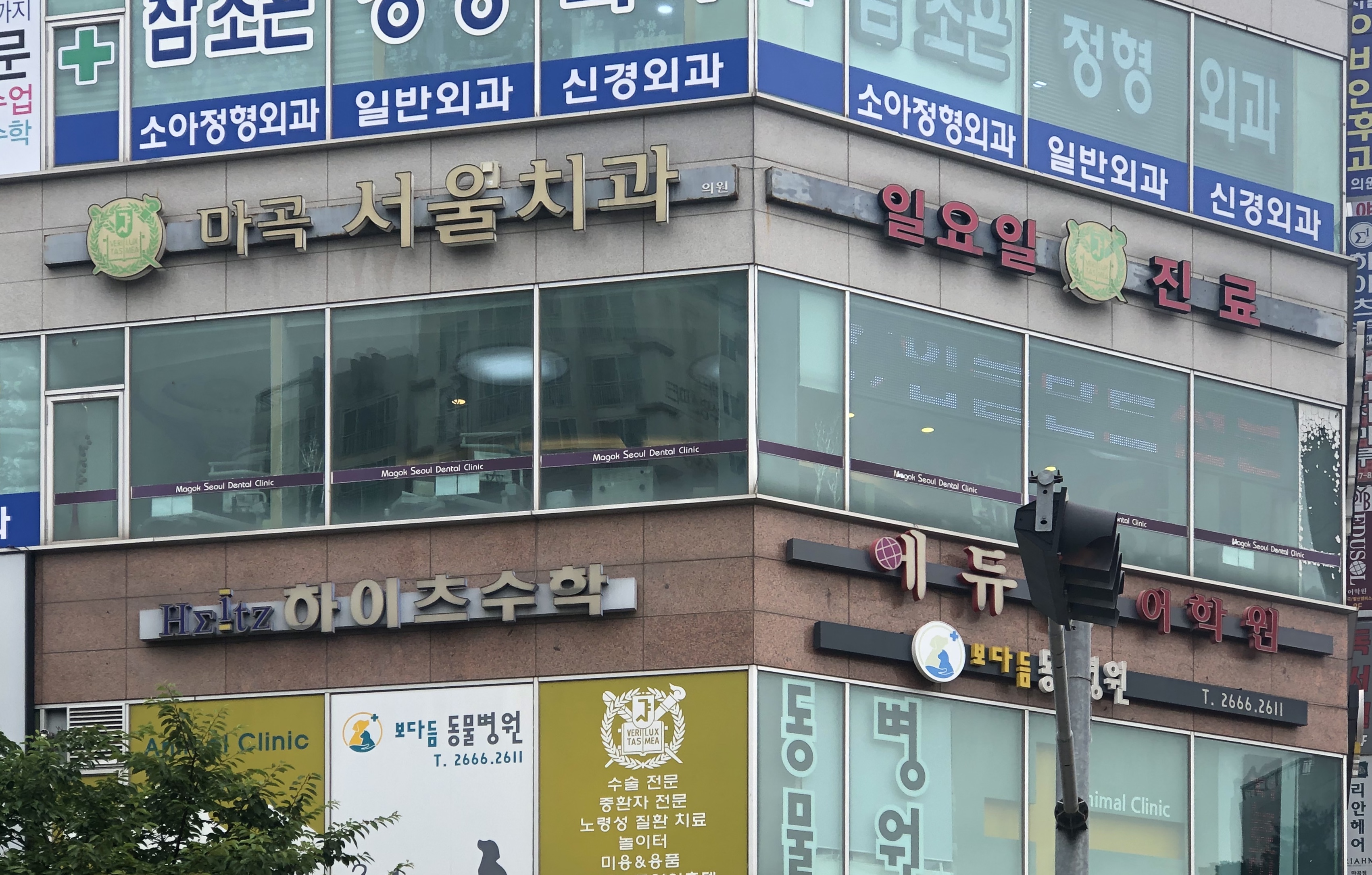 마곡서울치과의원 대표 메뉴