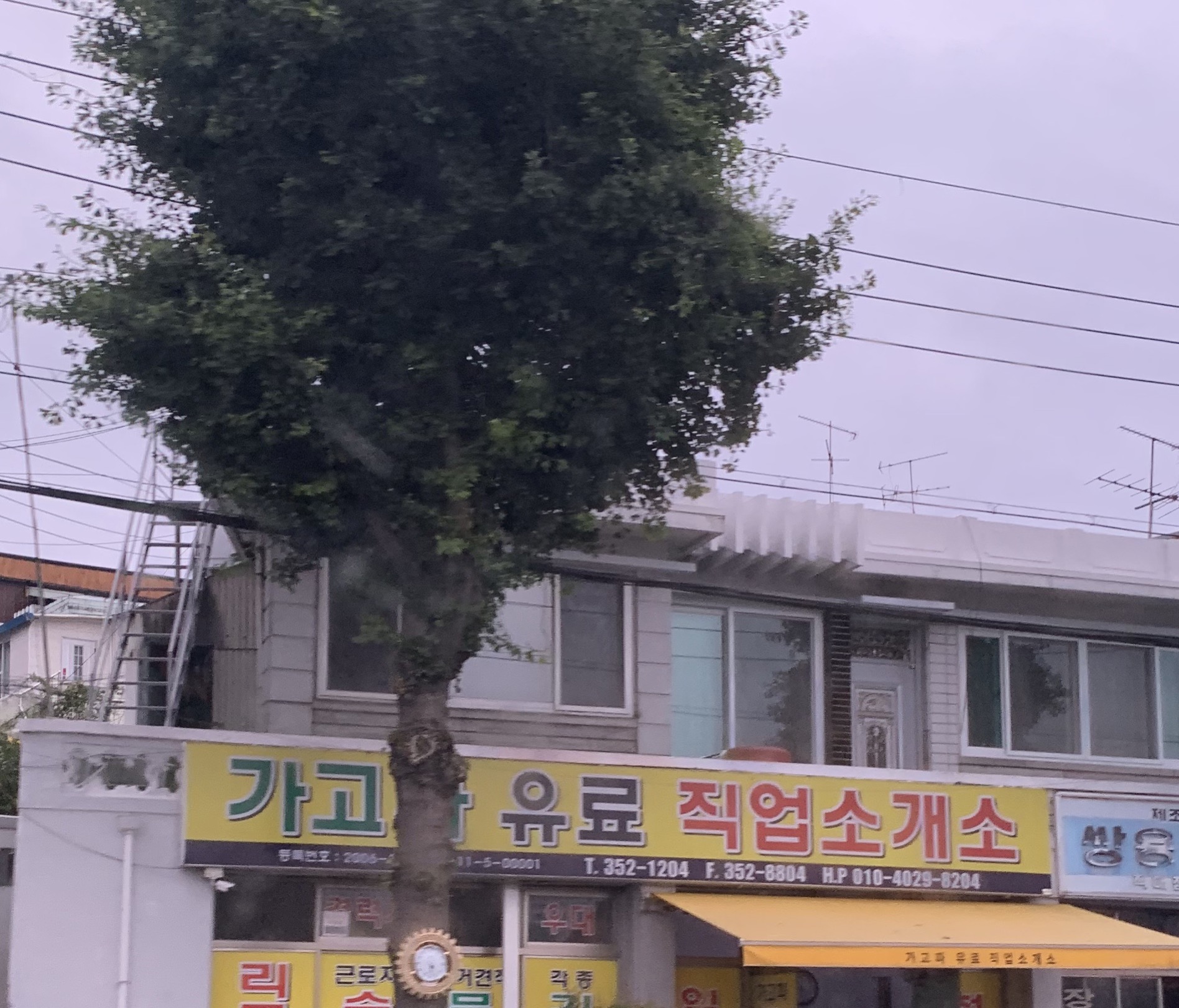 가고파유료직업소개소