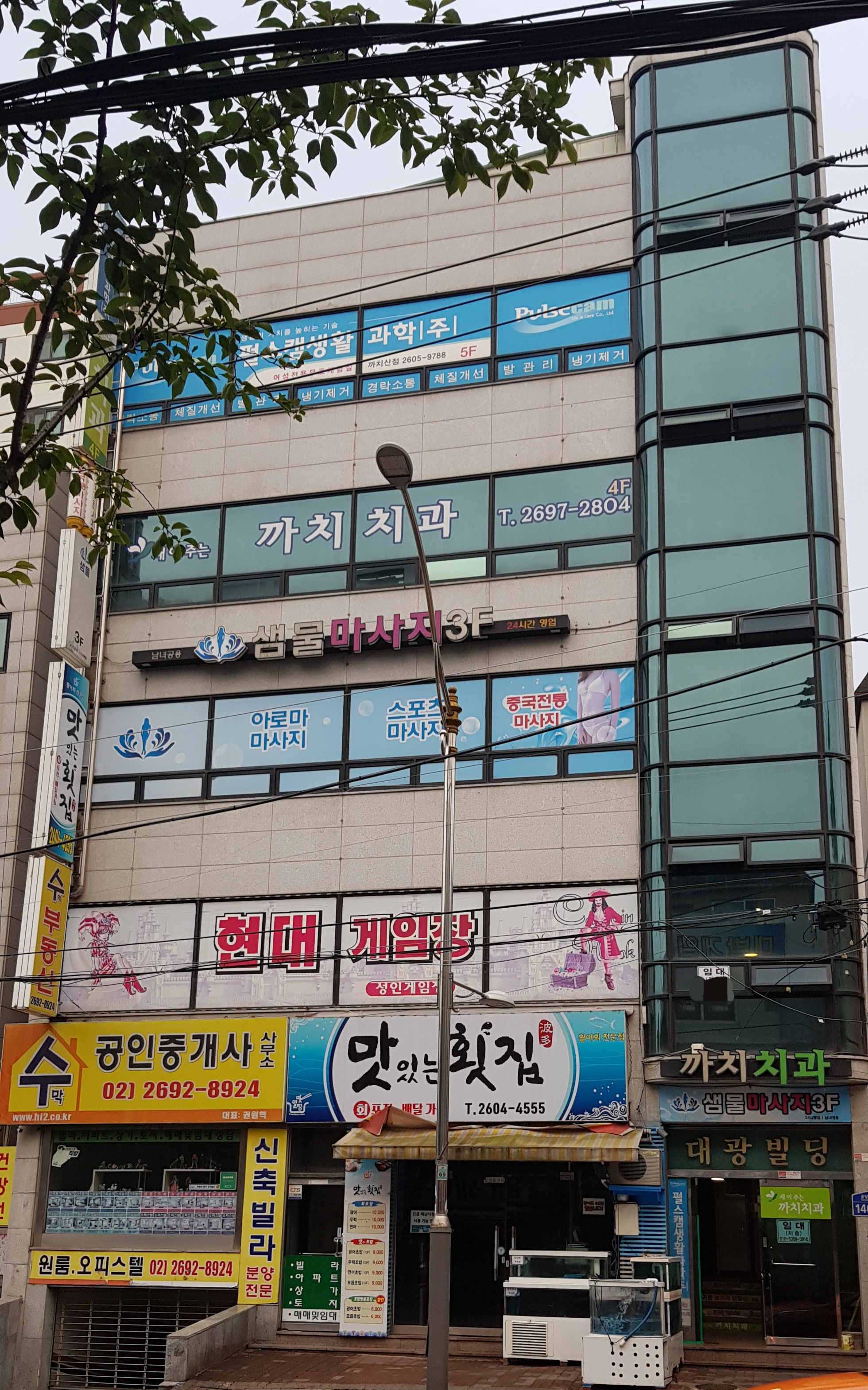 새이주는까치치과의원