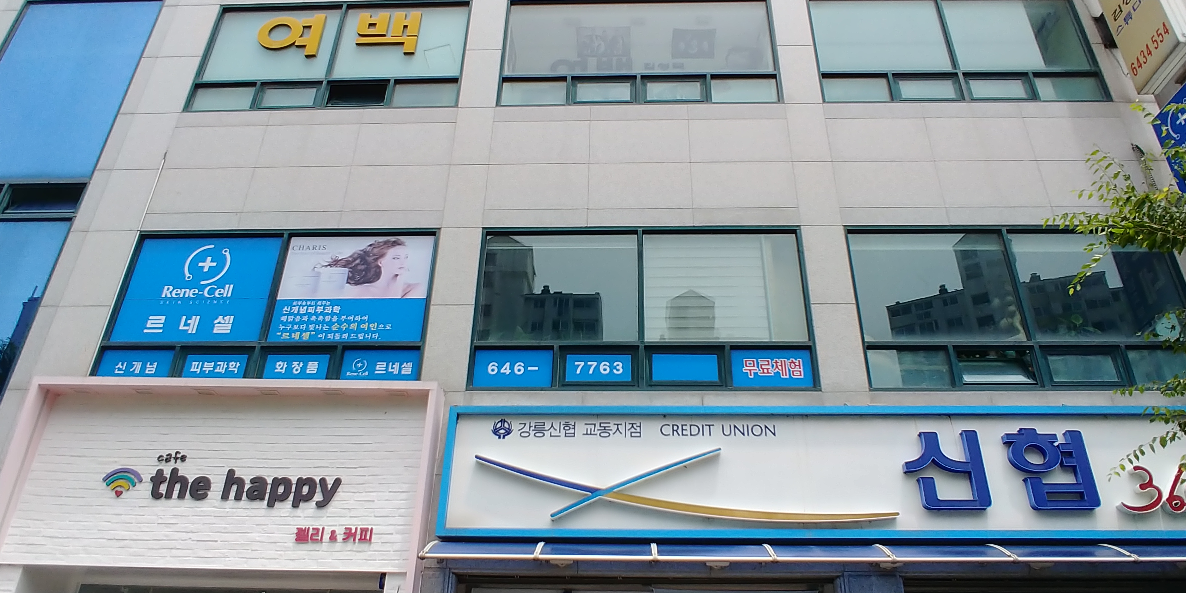르네셀