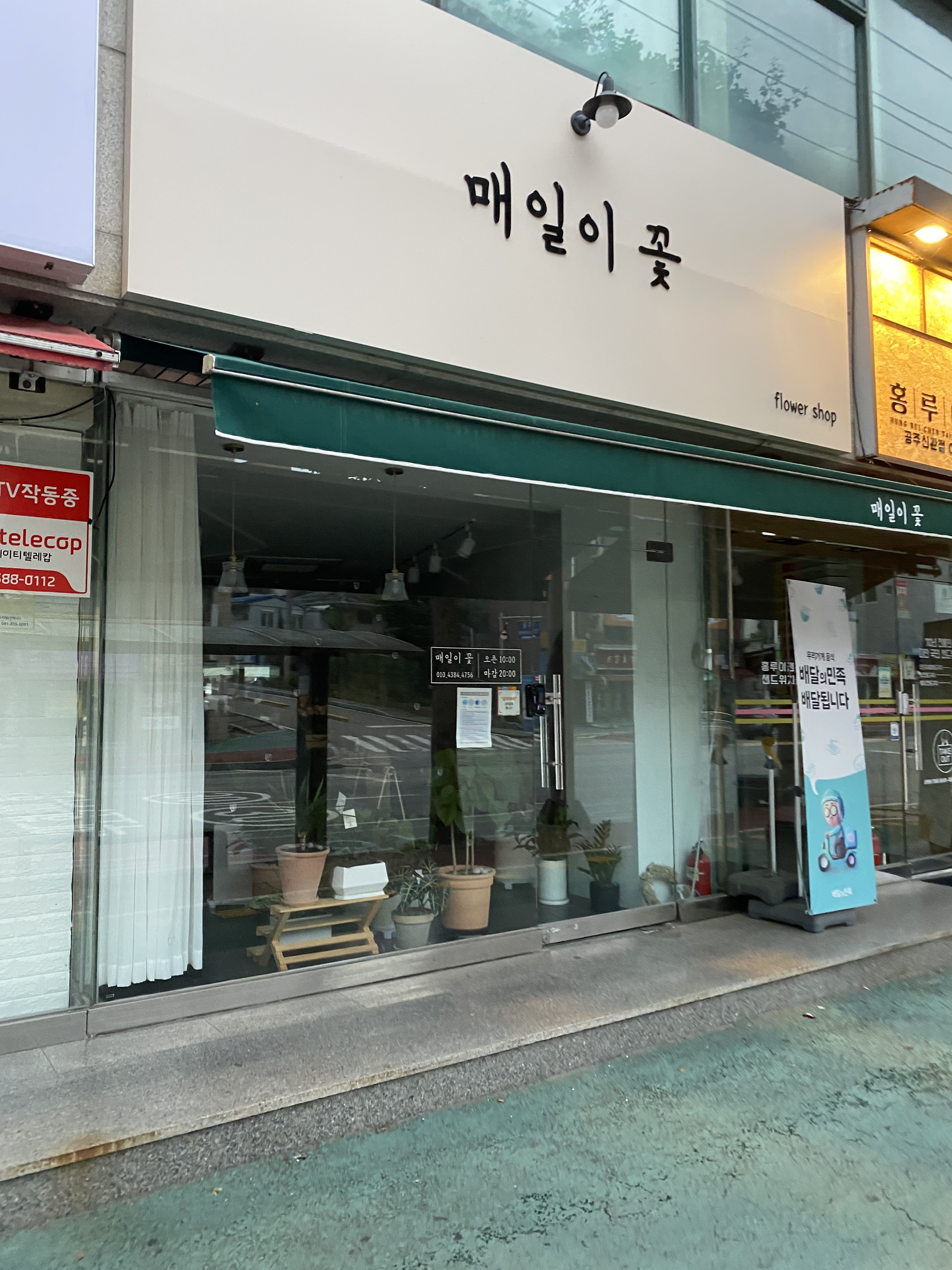 매일이 꽃