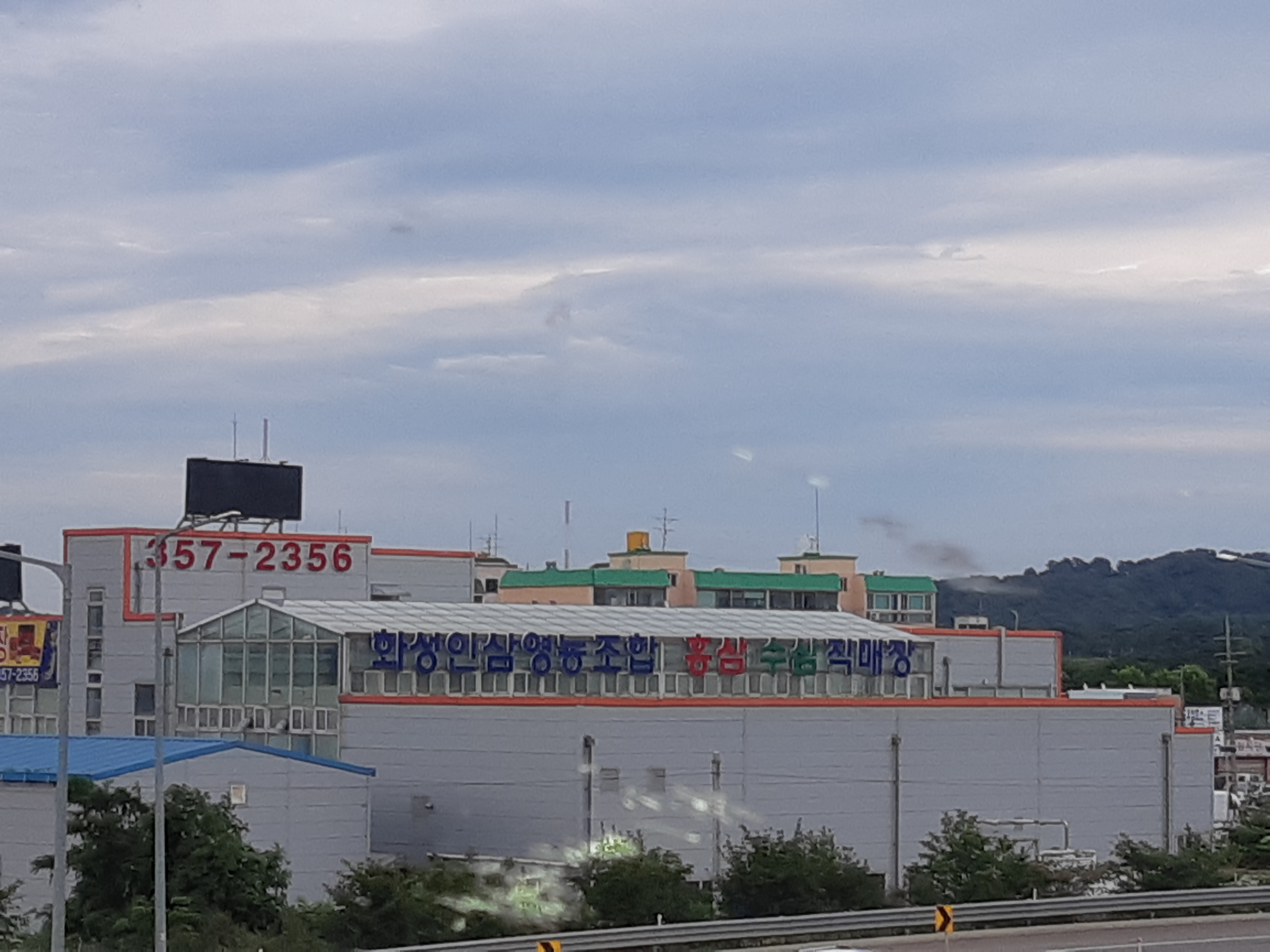 화성인삼영농조합