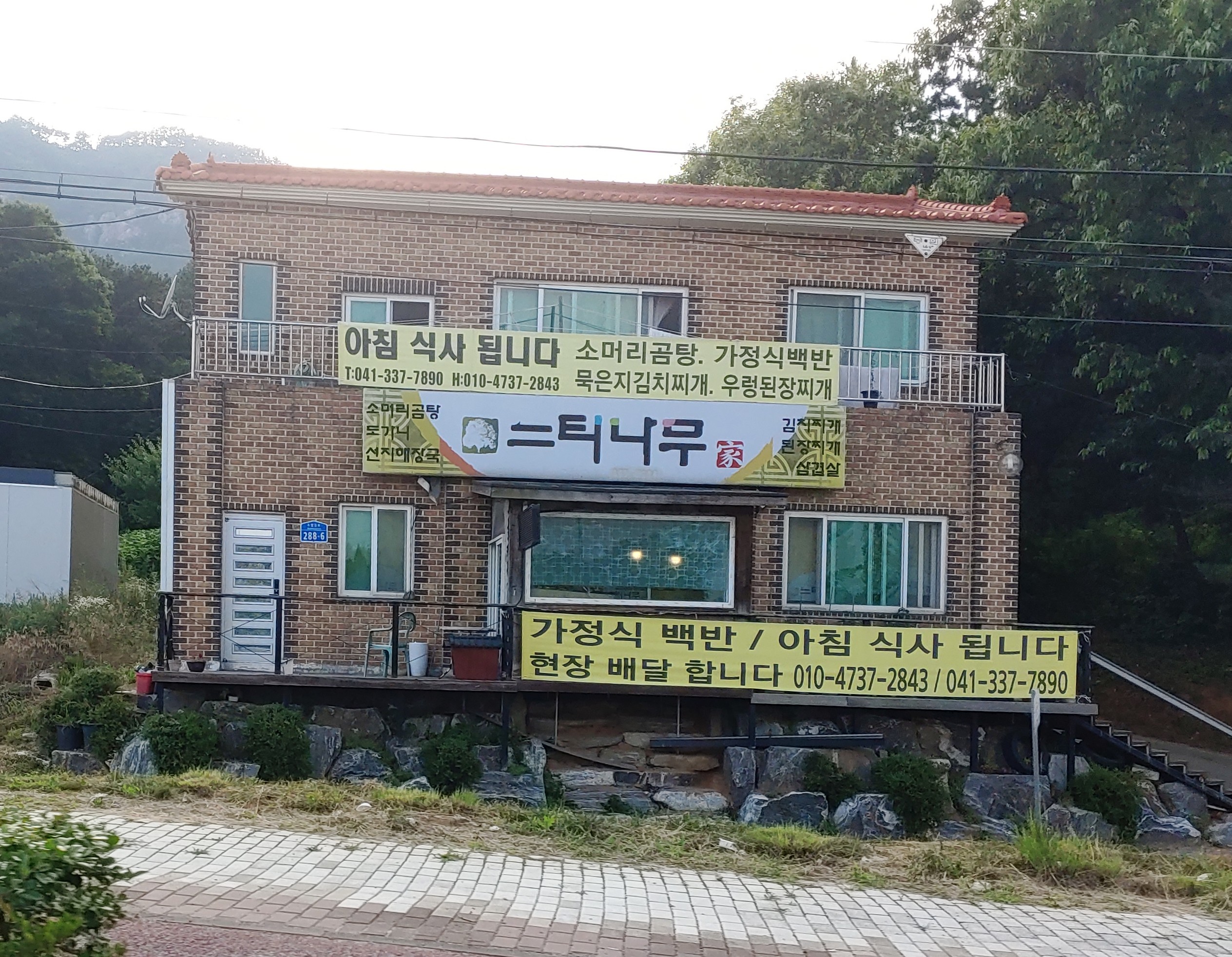 느티나무집