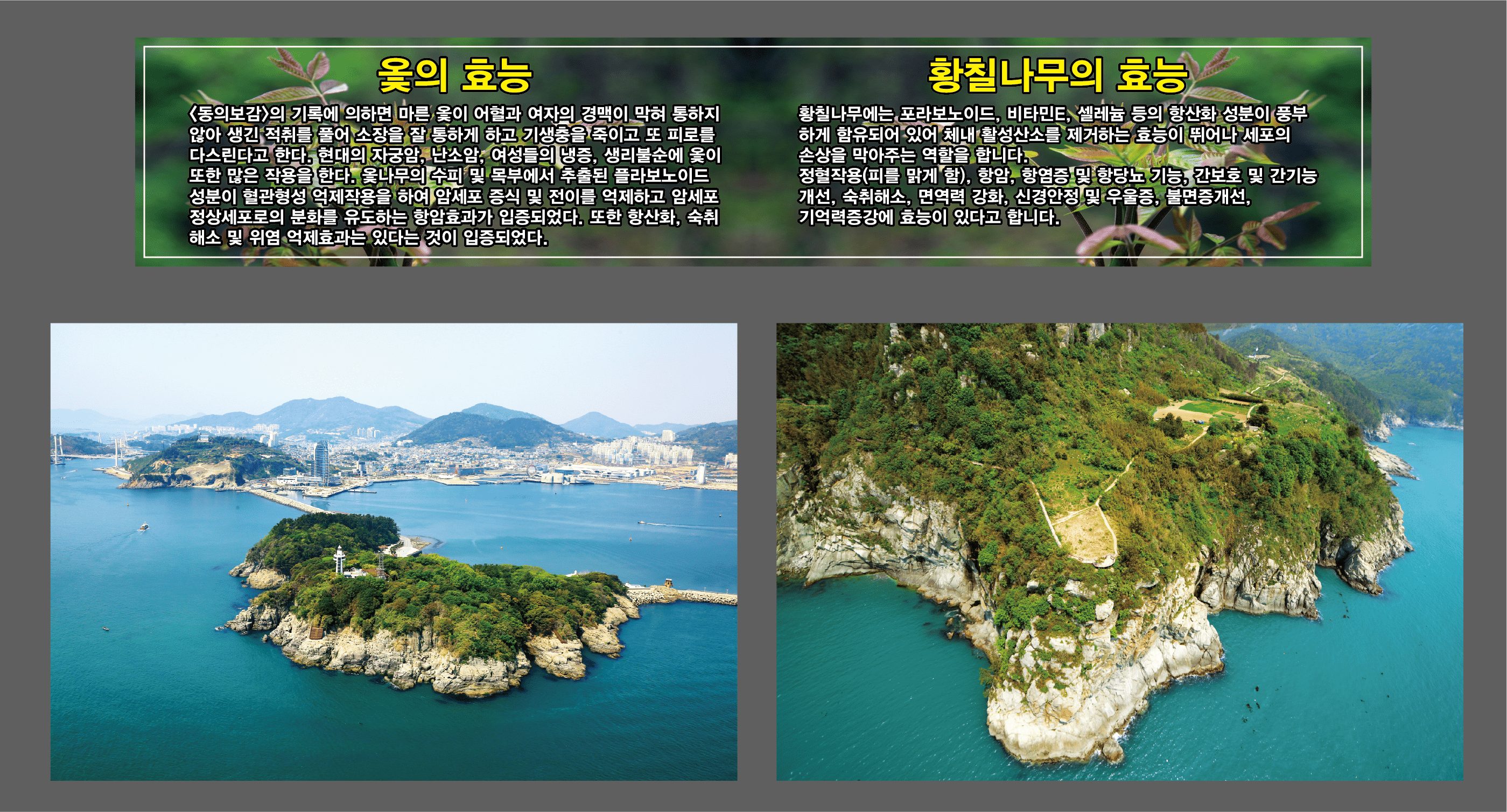 모장참옻닭