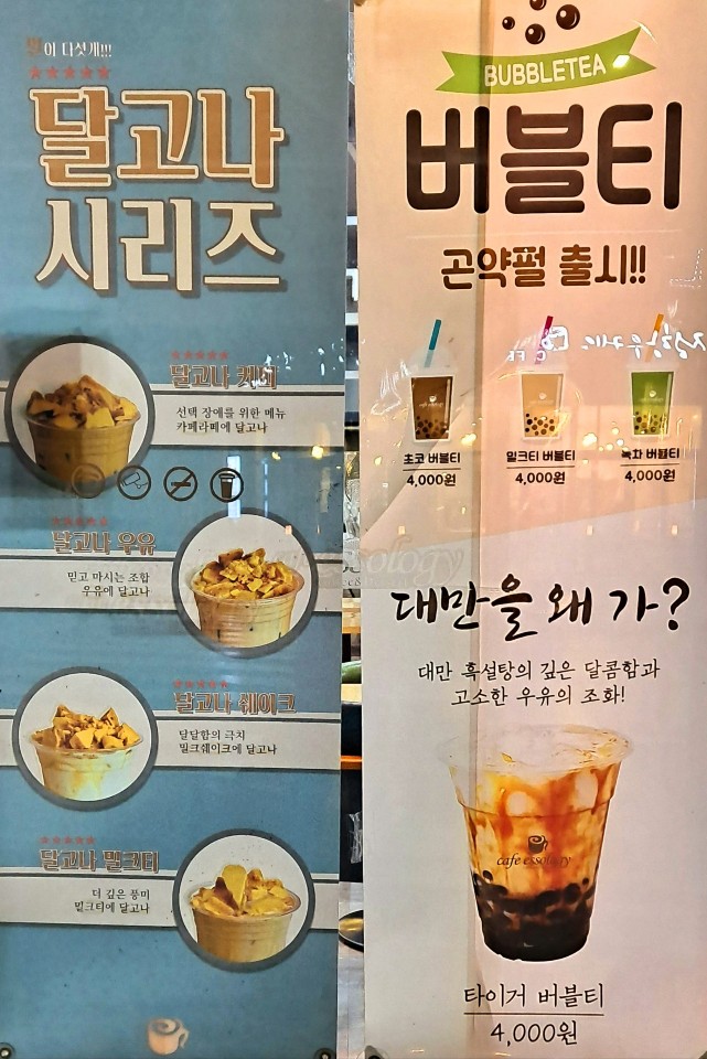 개스트 전라 애견카페
