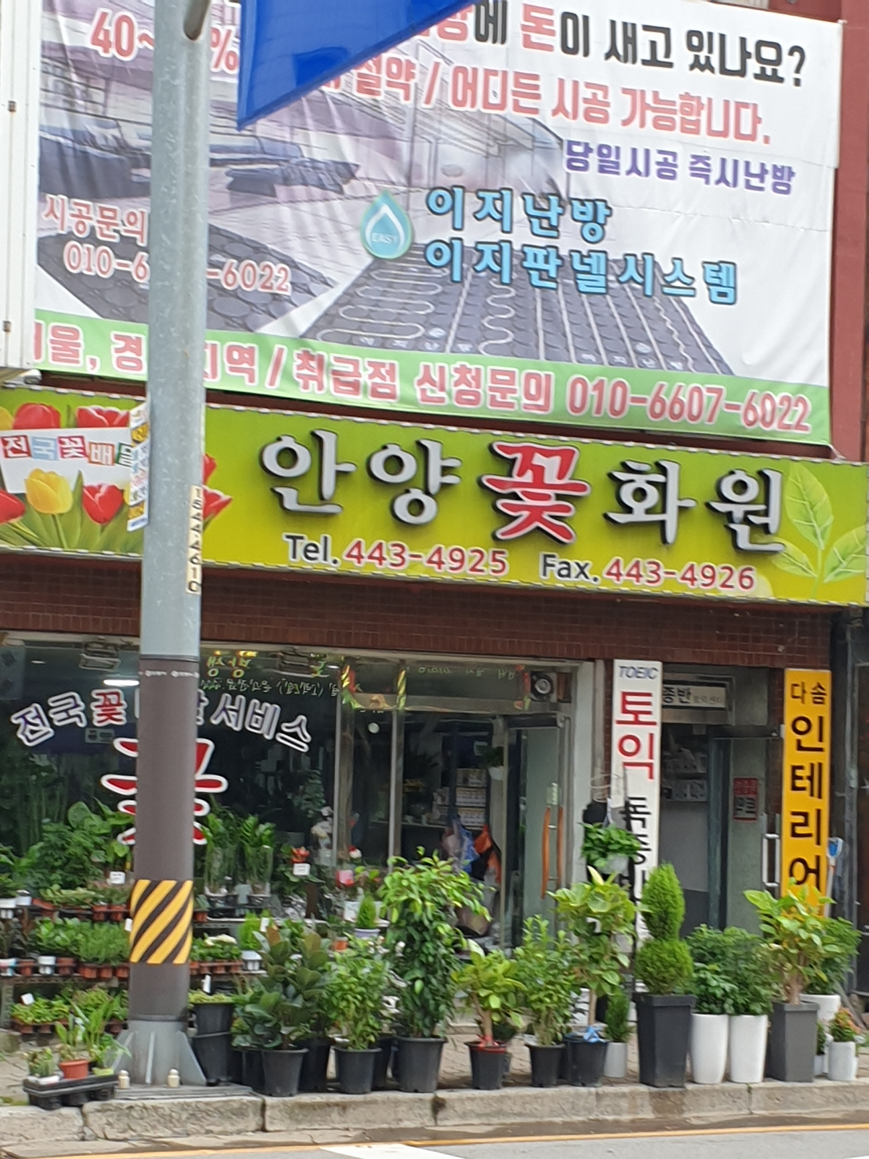 안양꽃화원
