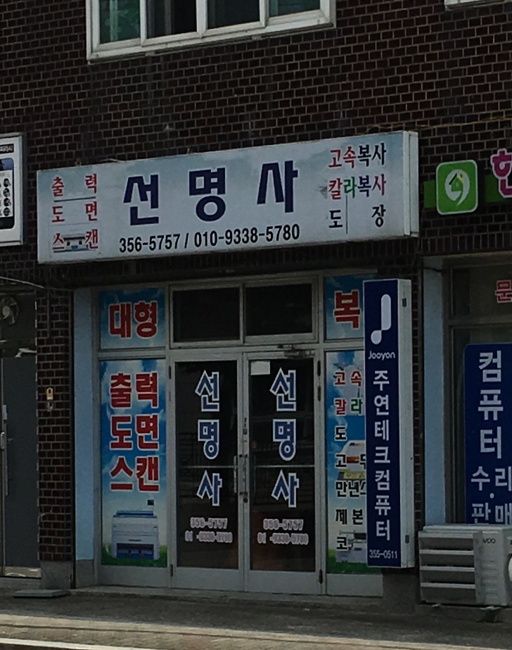 선명사