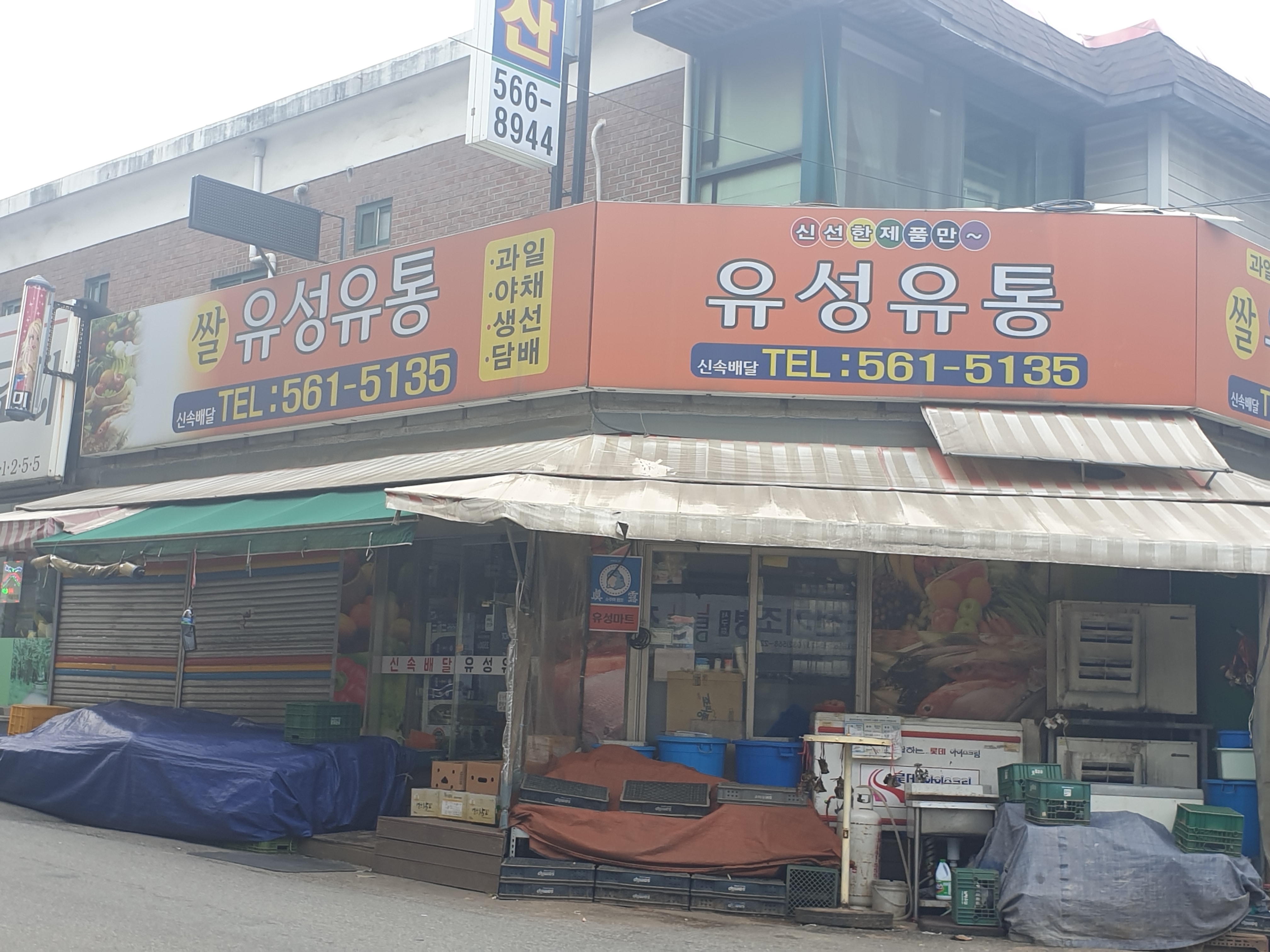 유성유통