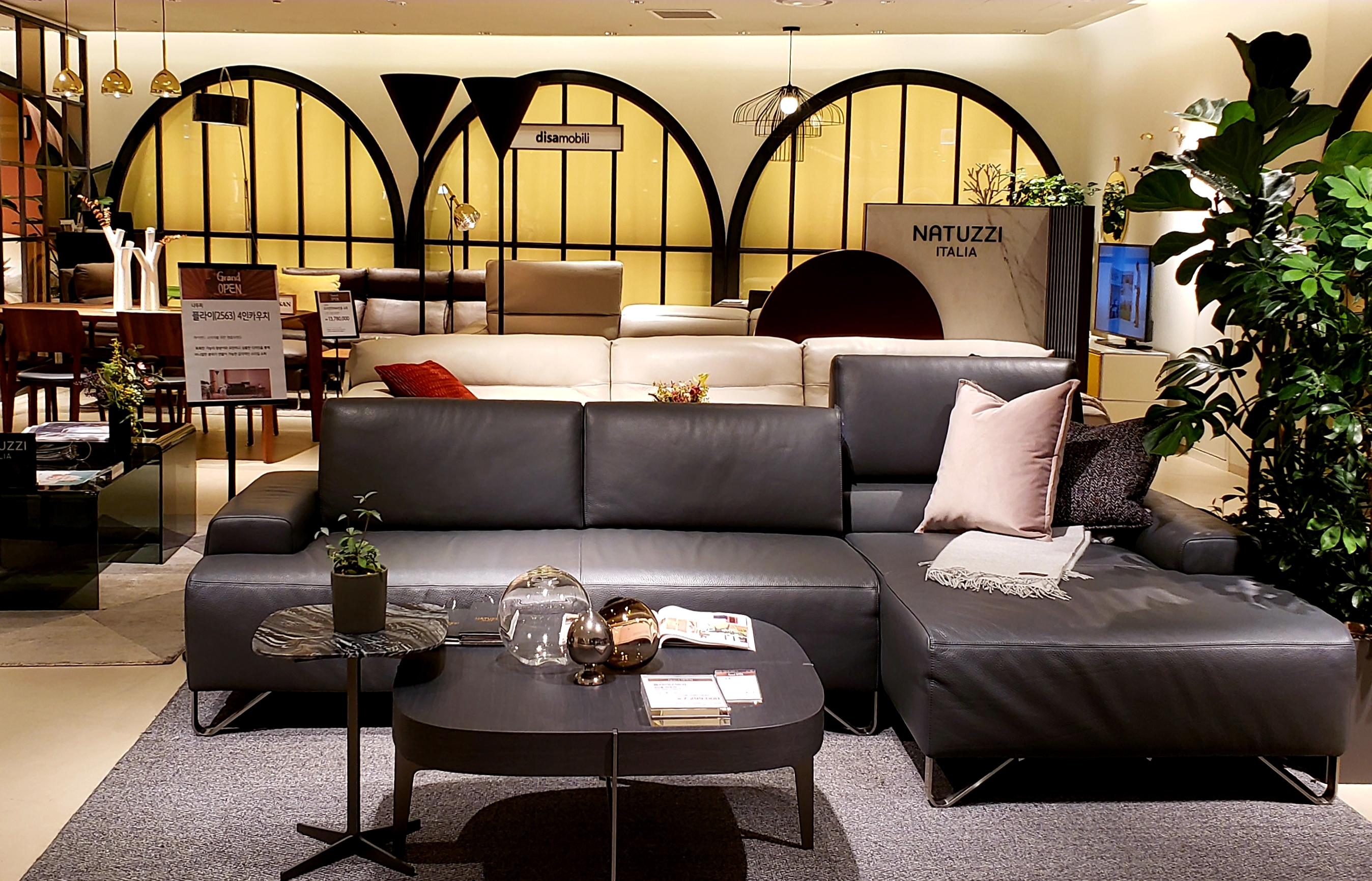 수입가구 디사모빌리