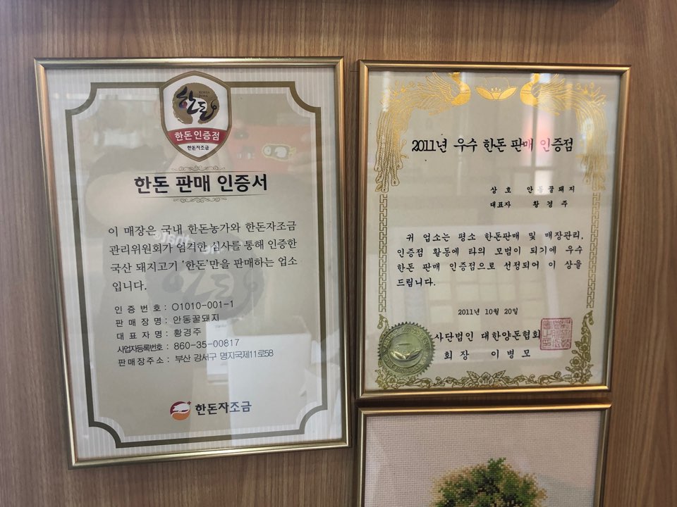 안동꿀돼지