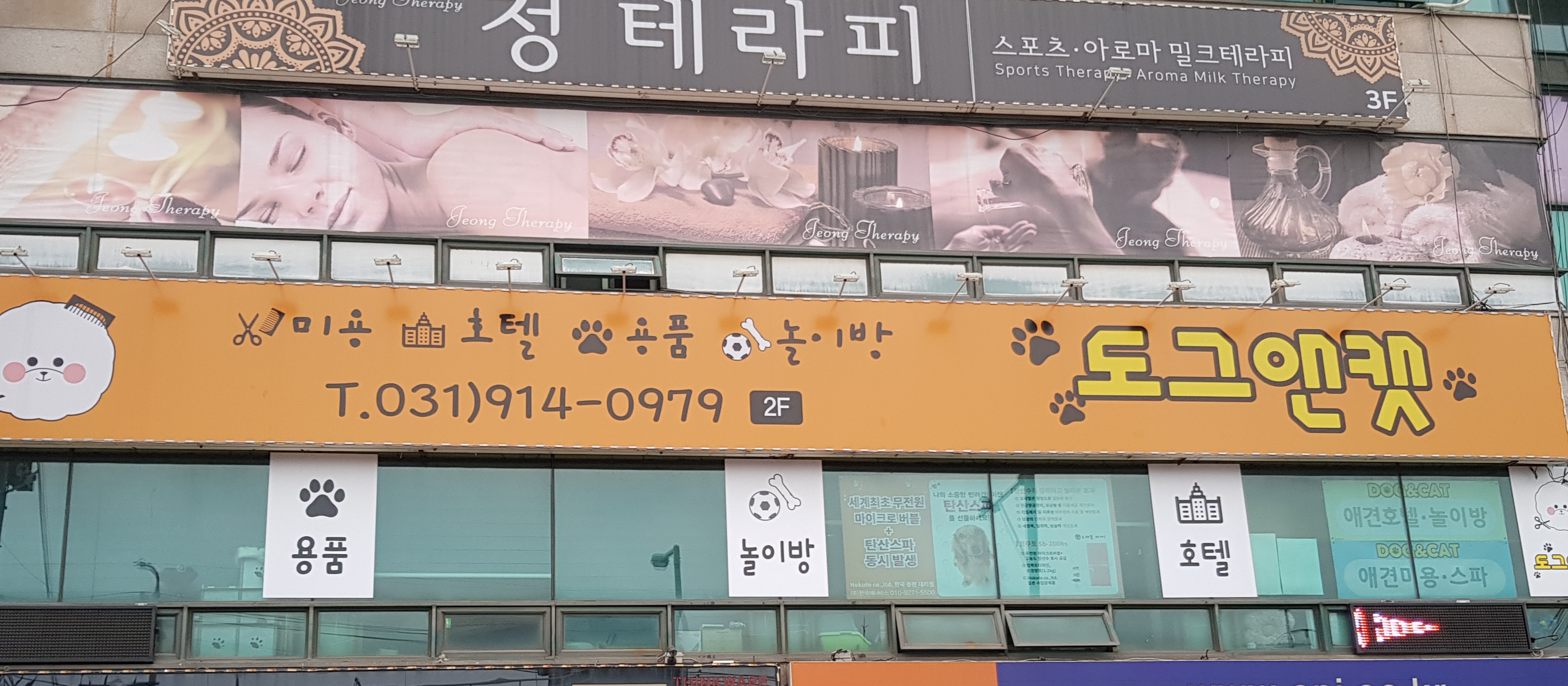 도그앤캣