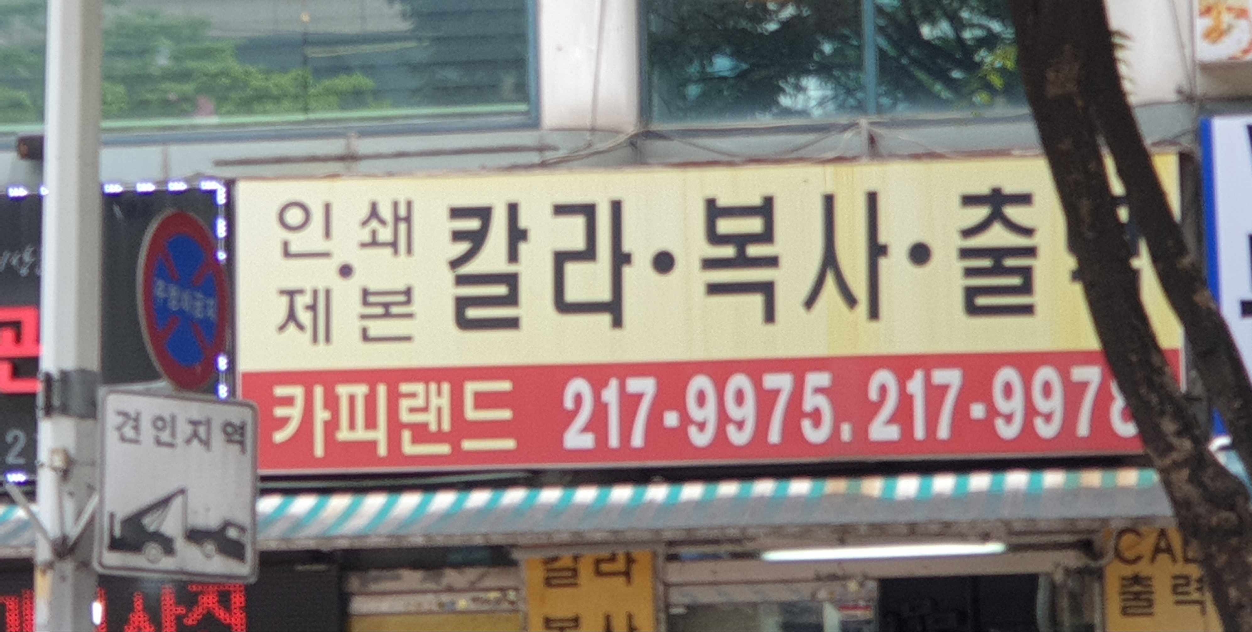 카피랜드