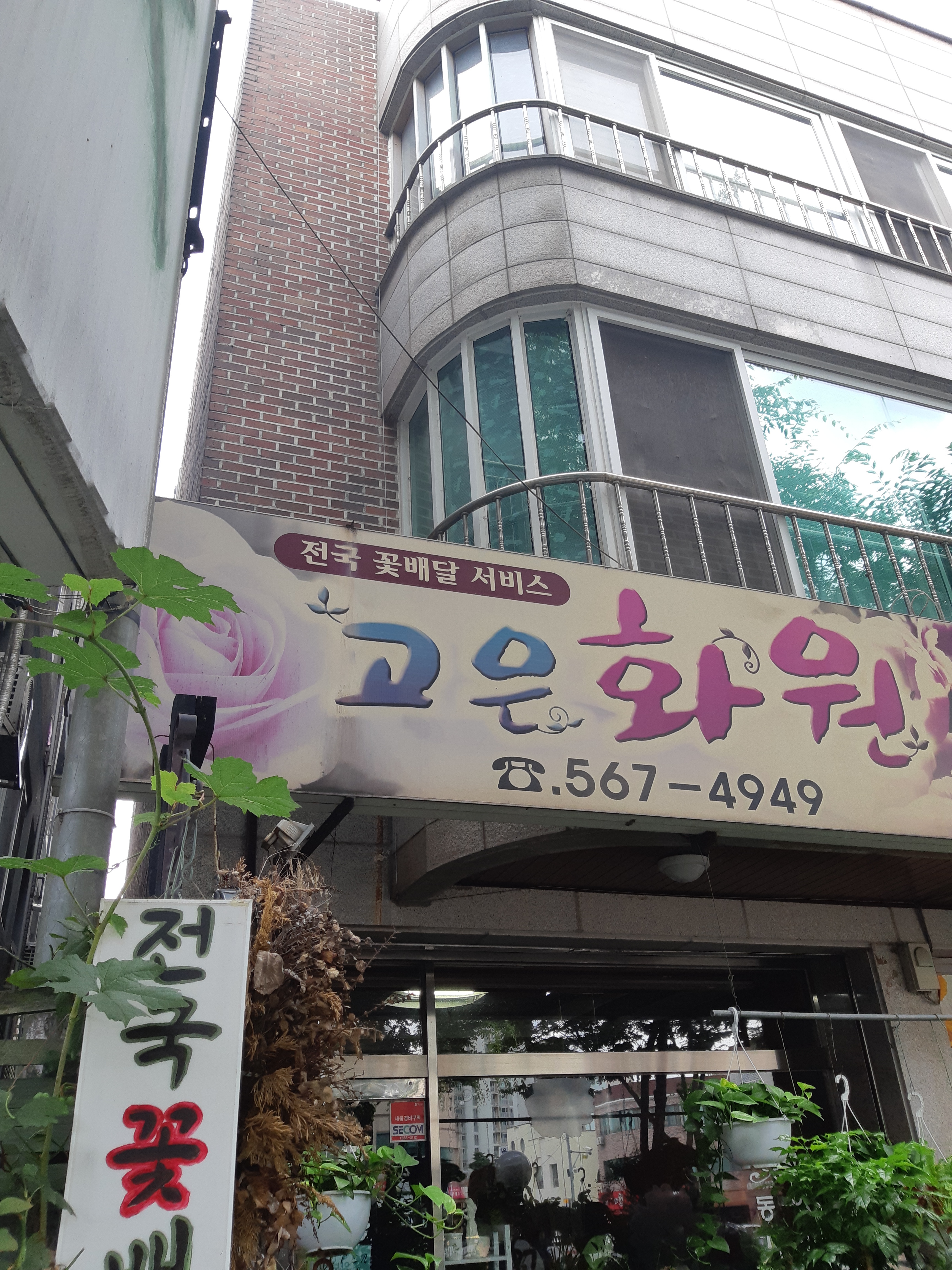 고은화원