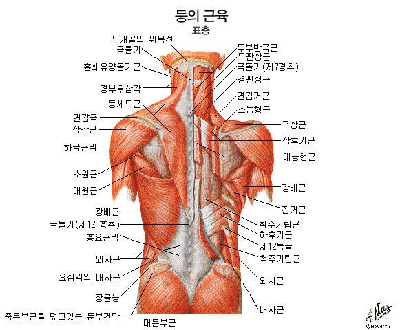 동양체형교정연구소 대표 이미지