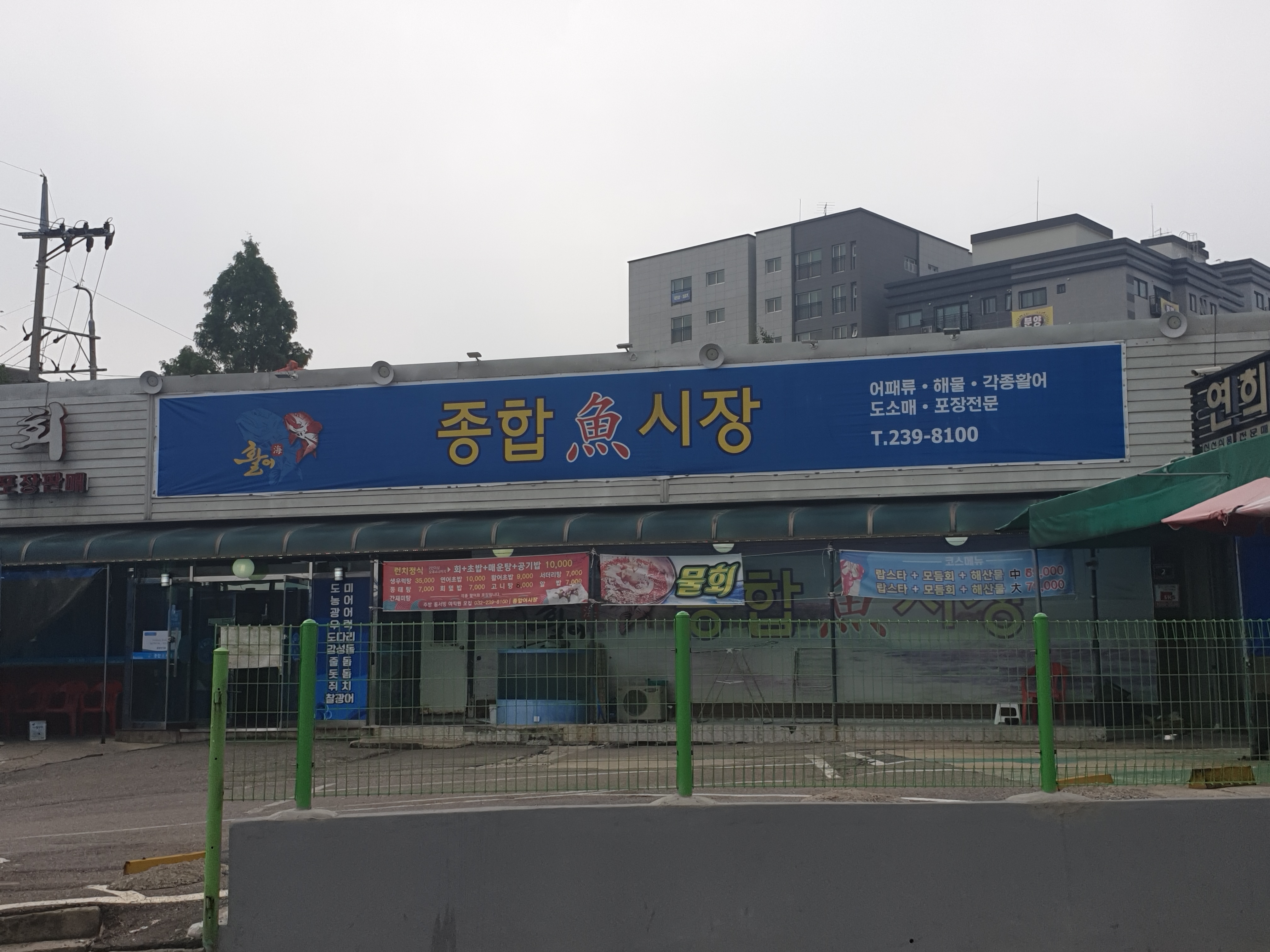 종합어시장