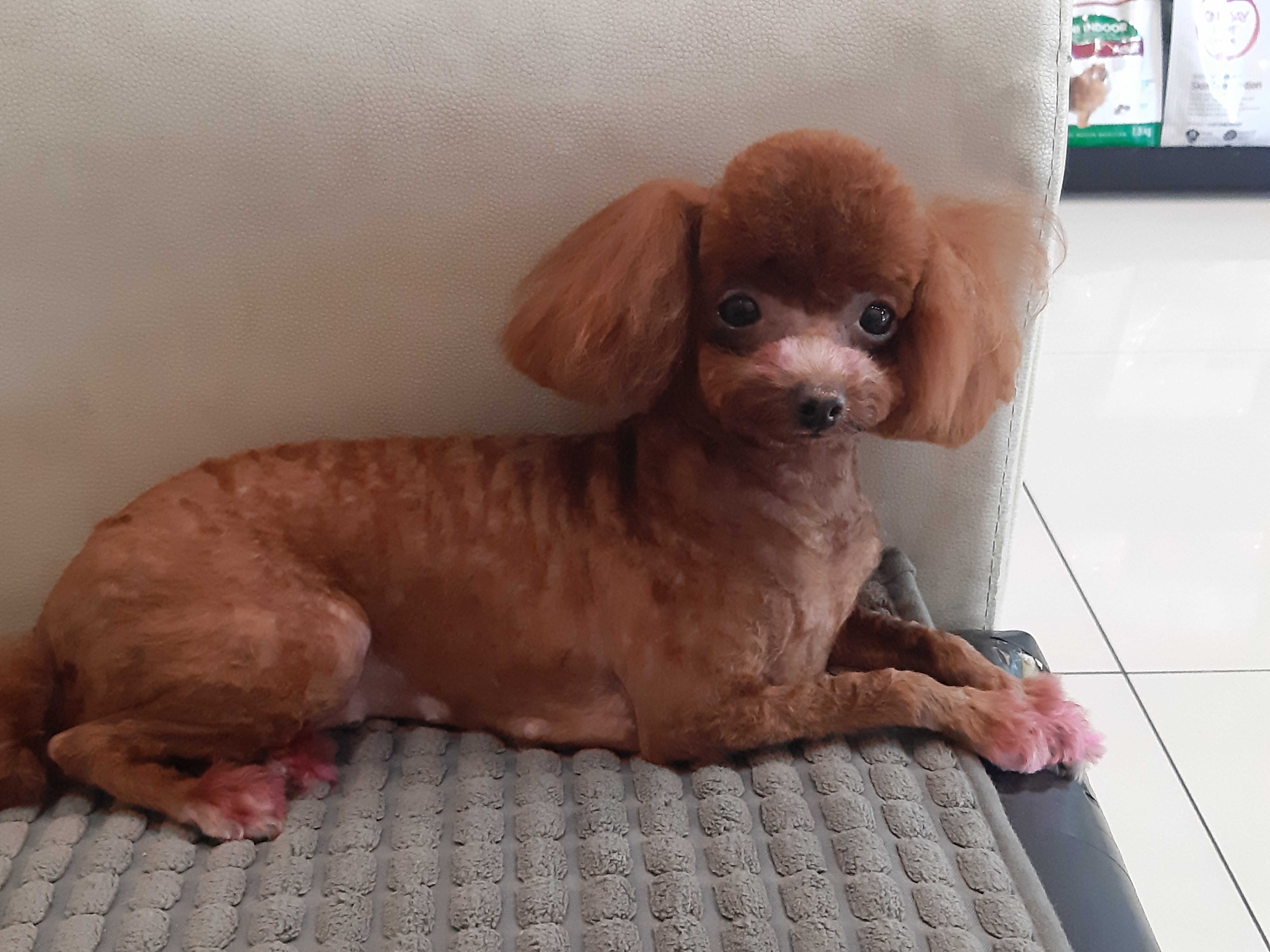 이미지
