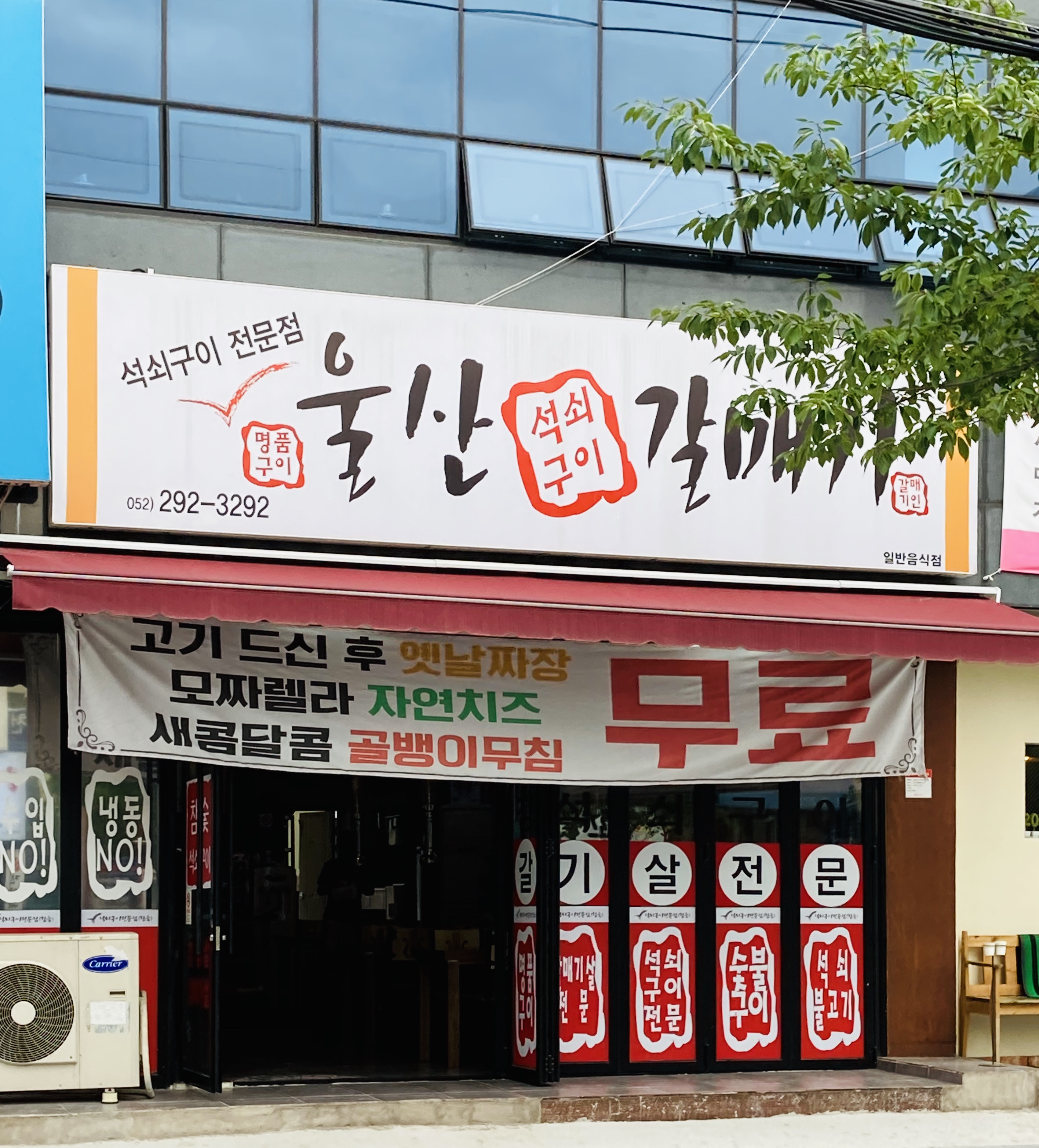 울산갈매기