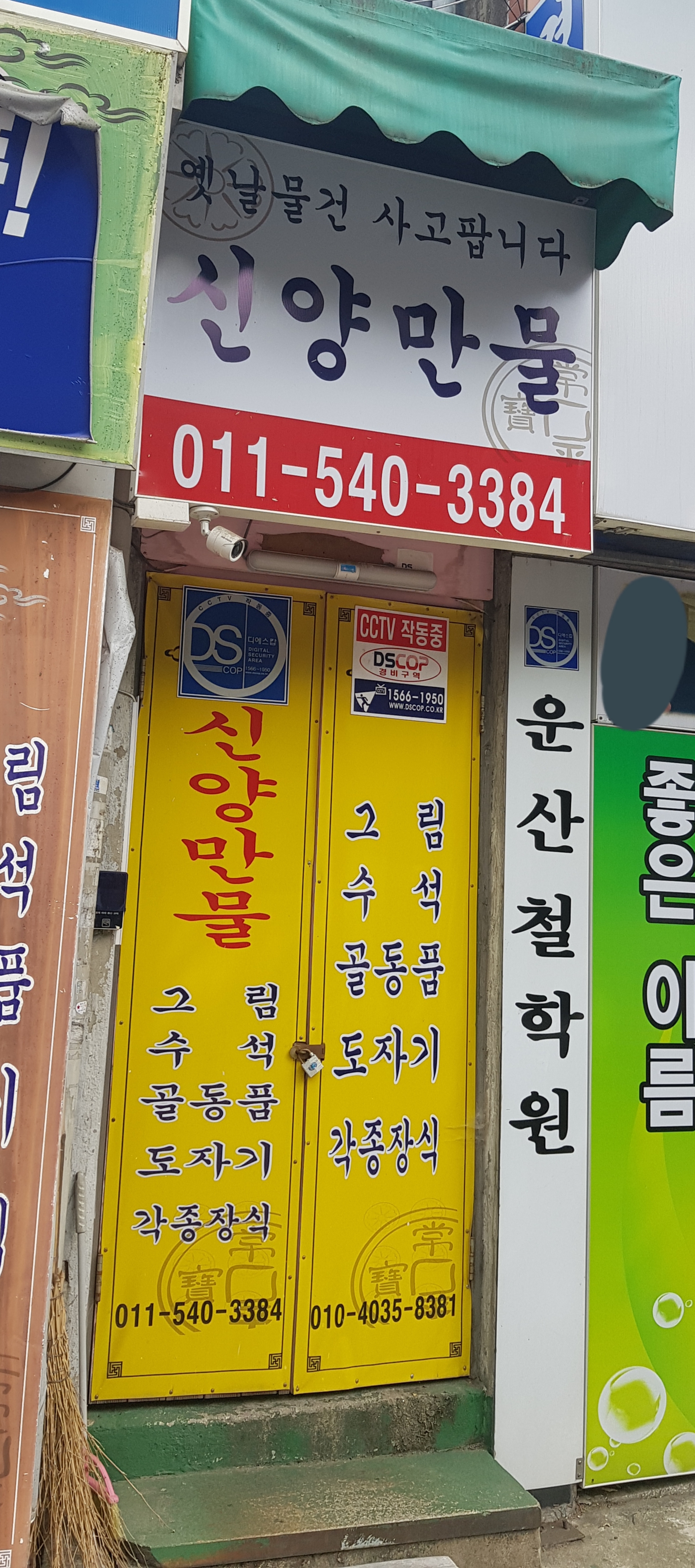 신양만물