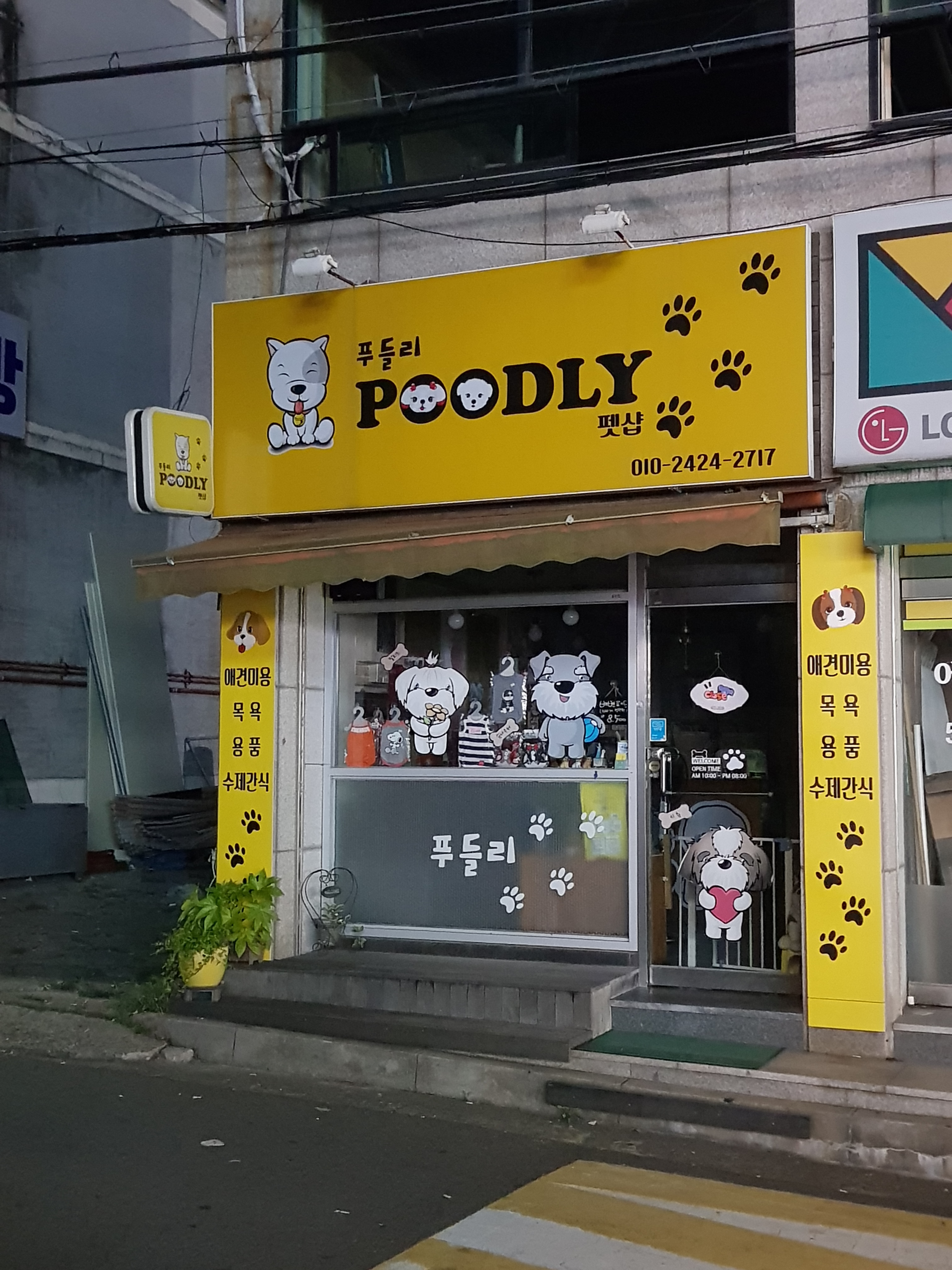 푸들펫샵 대표 이미지
