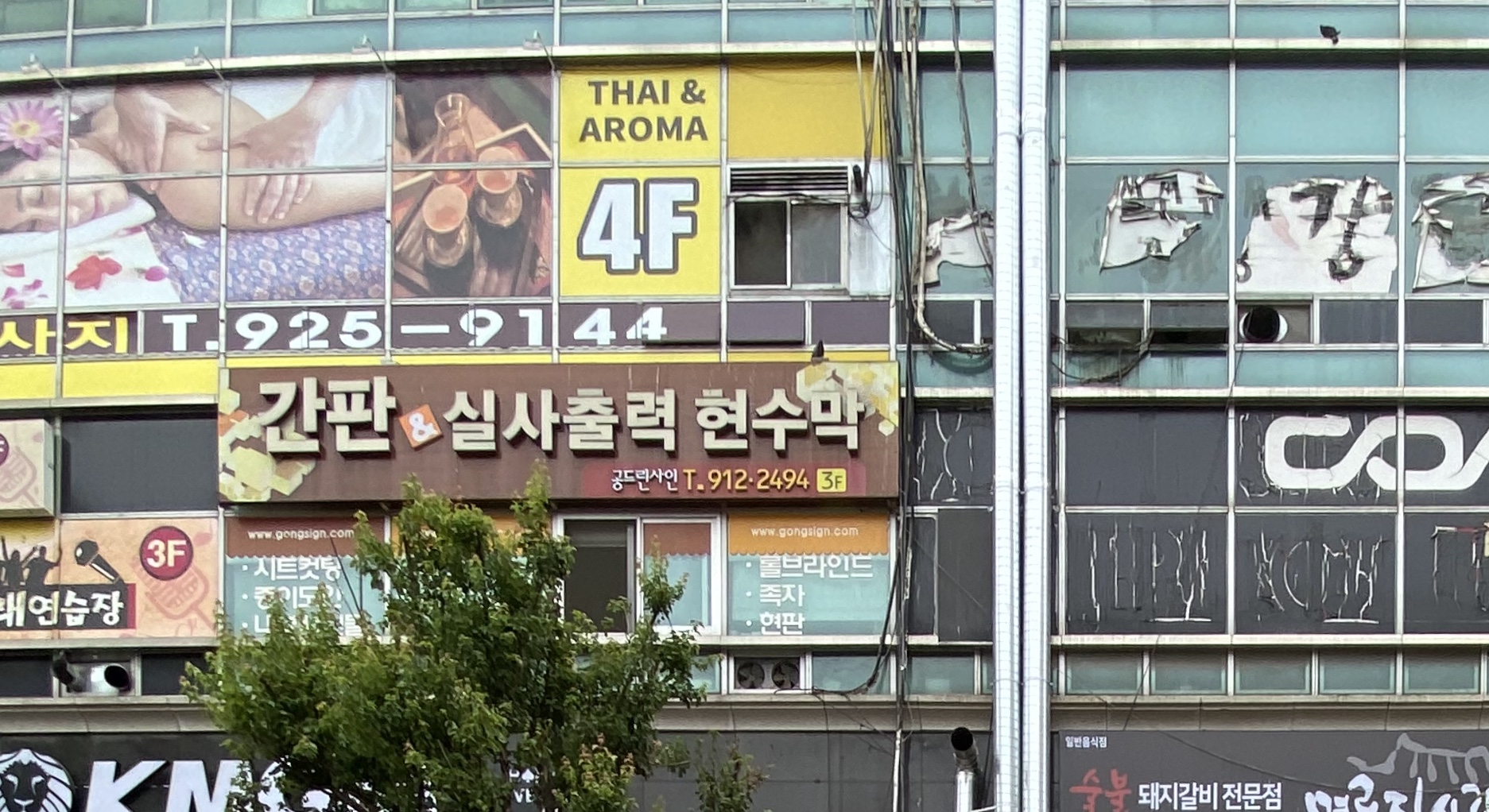 공드린사인