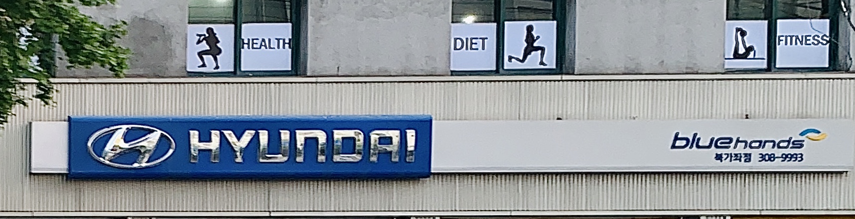 블루핸즈 북가좌점