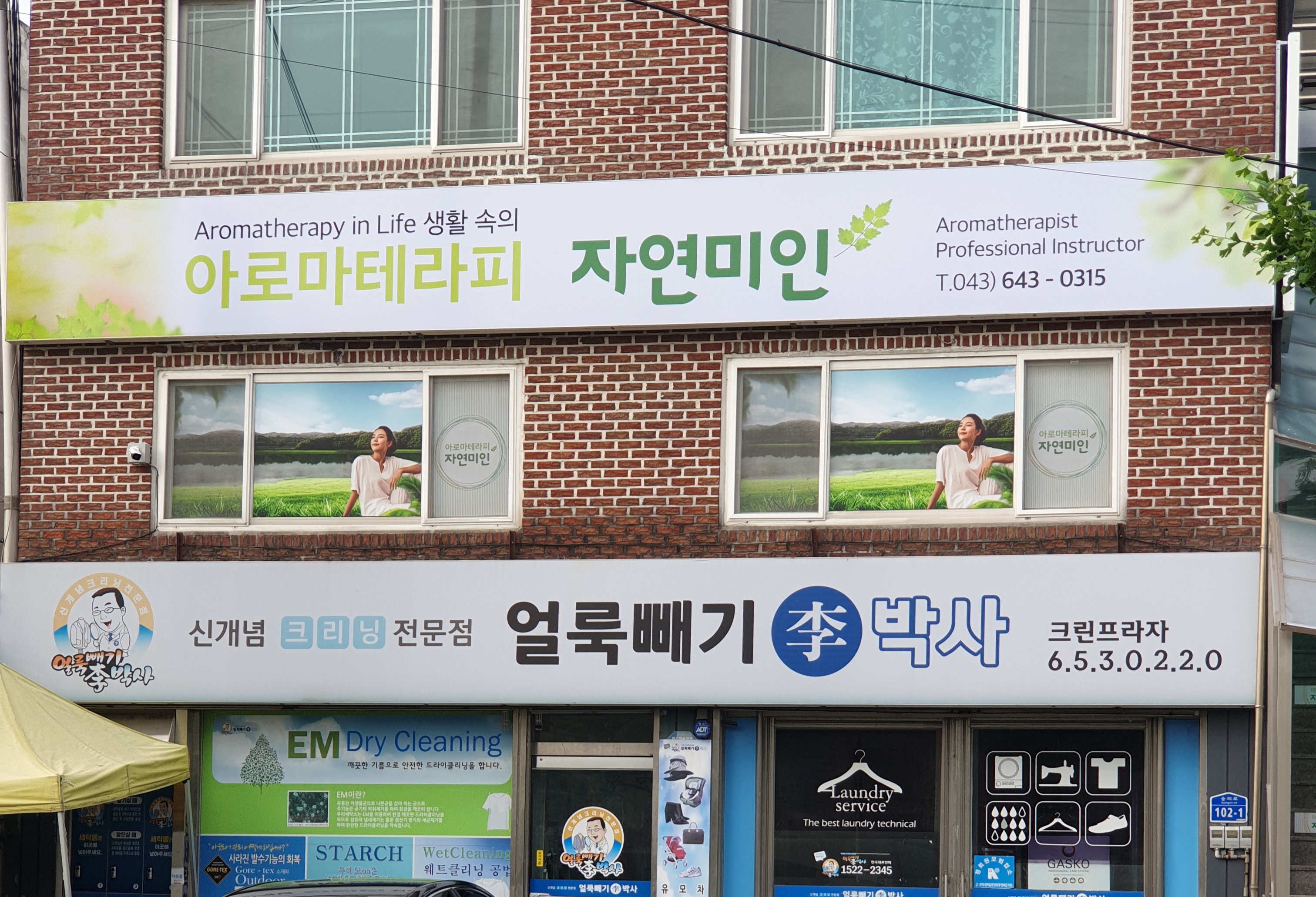 얼룩빼기이박사
