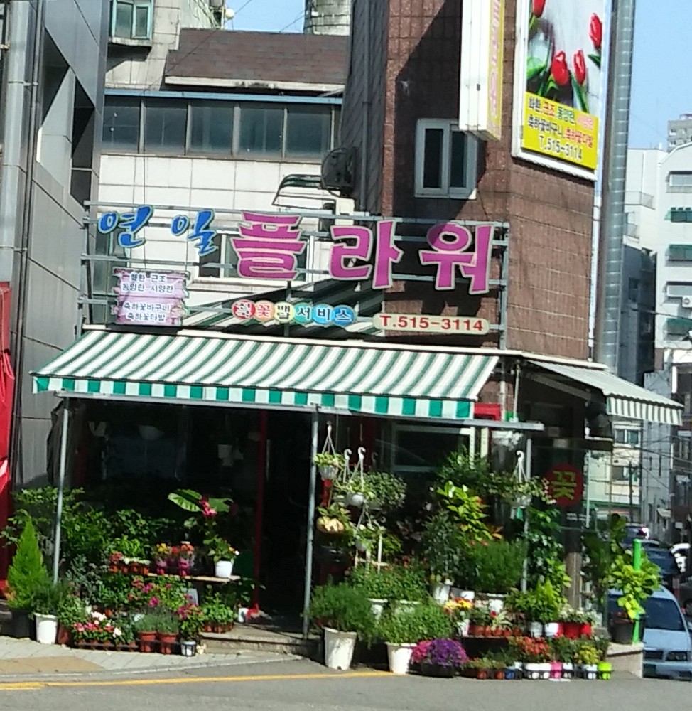 연일플라워