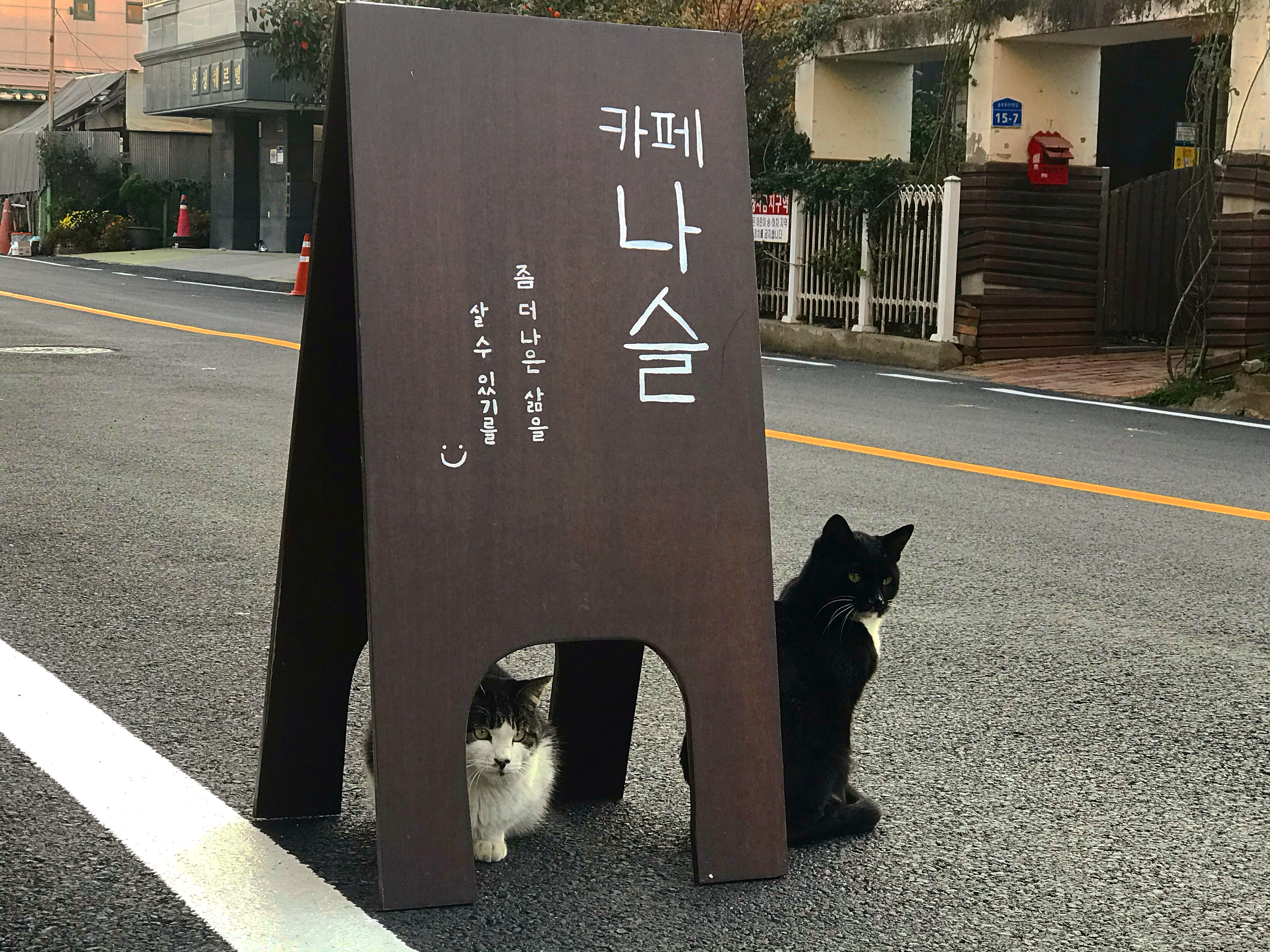 나슬