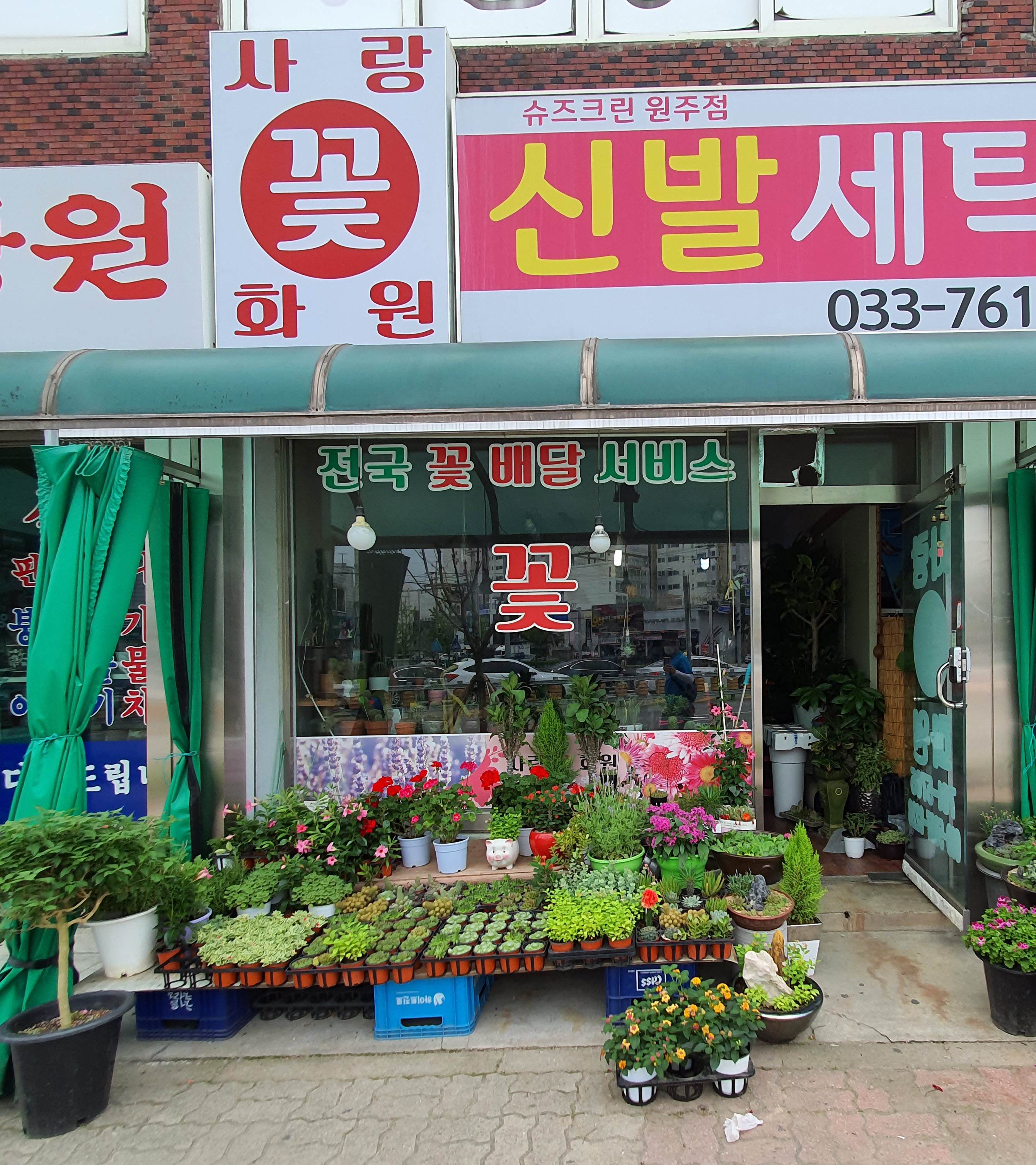 사랑꽃화원