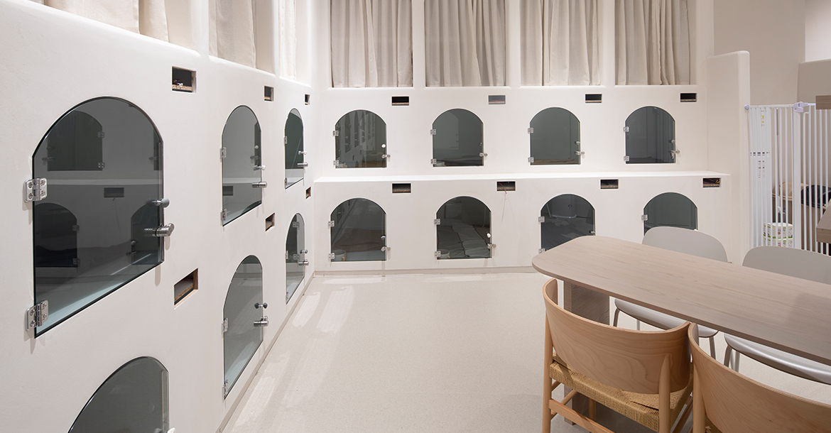 소노펫 보딩 대표 이미지