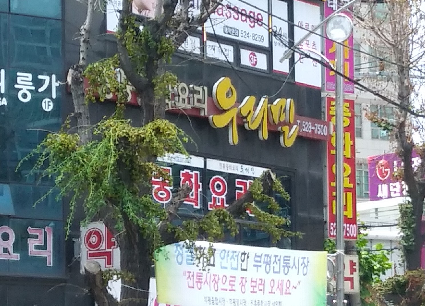 우리밀중화요리