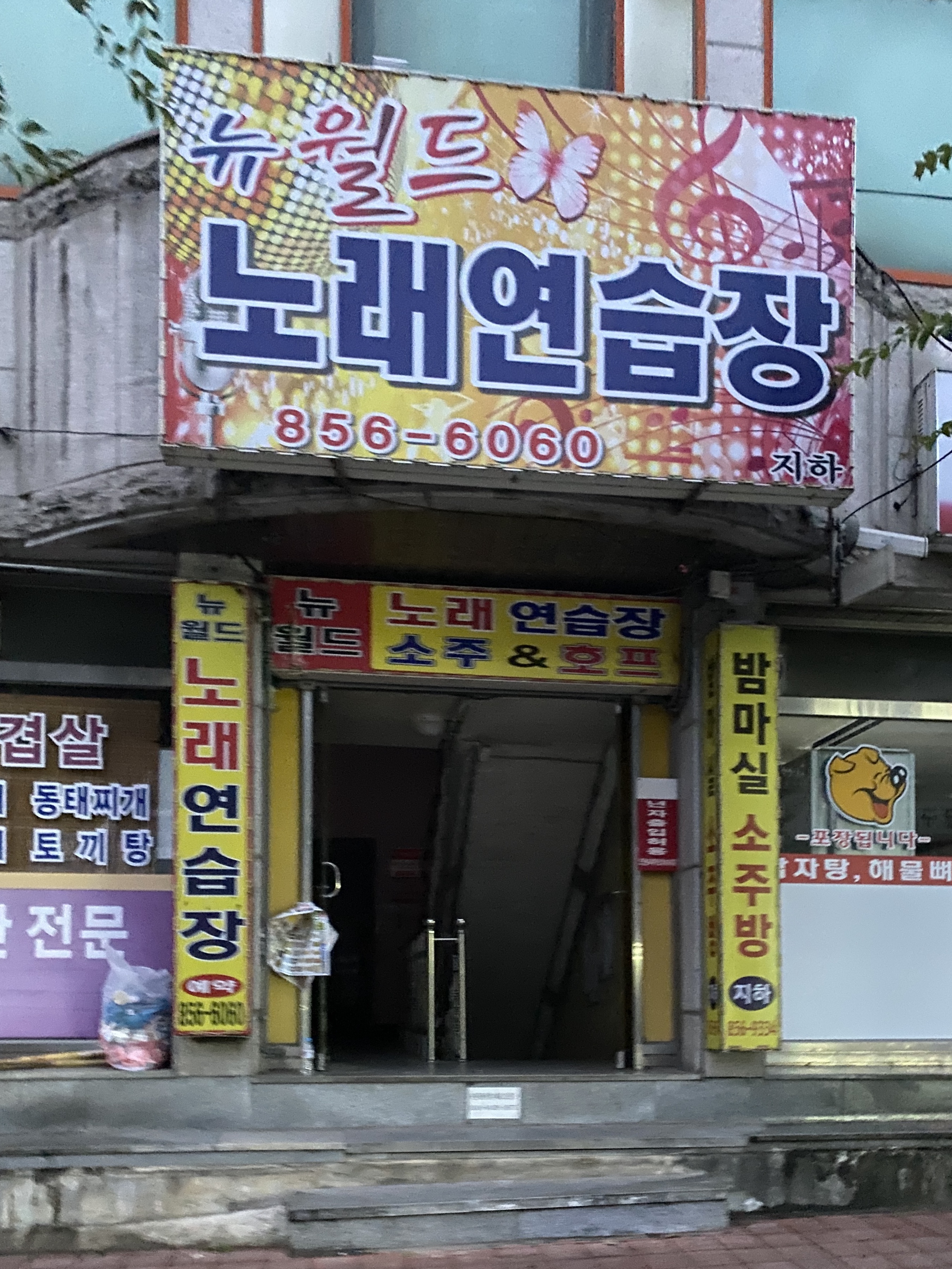 뉴월드노래연습장