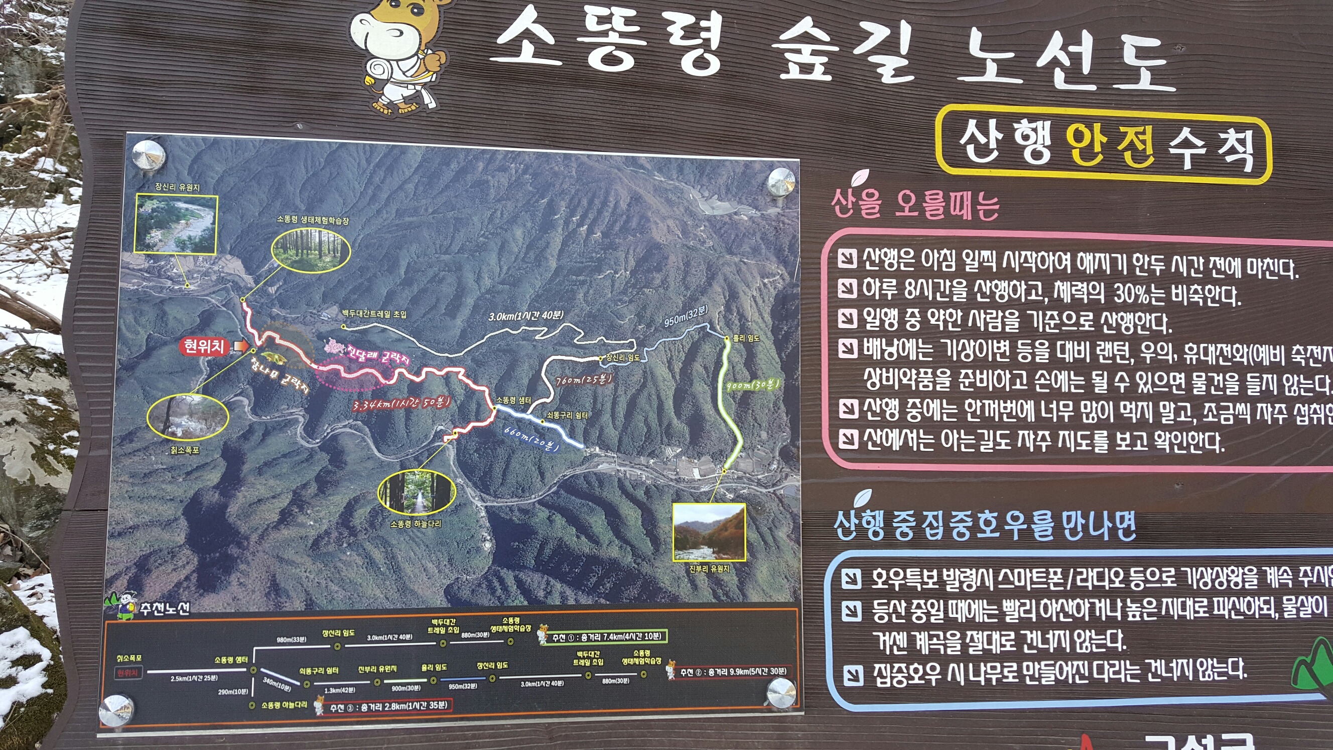 밤나무민박
