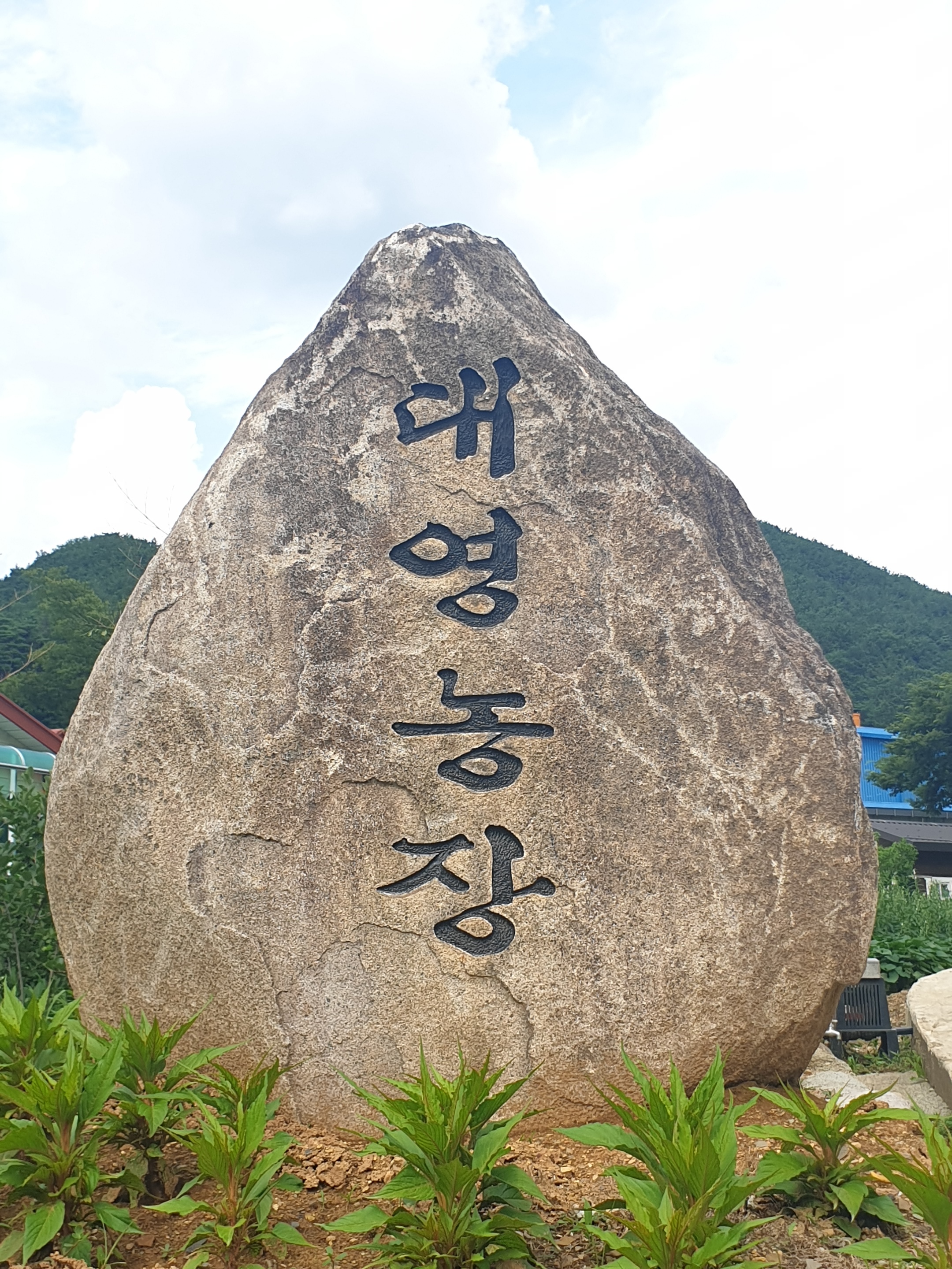 대영농장 계란