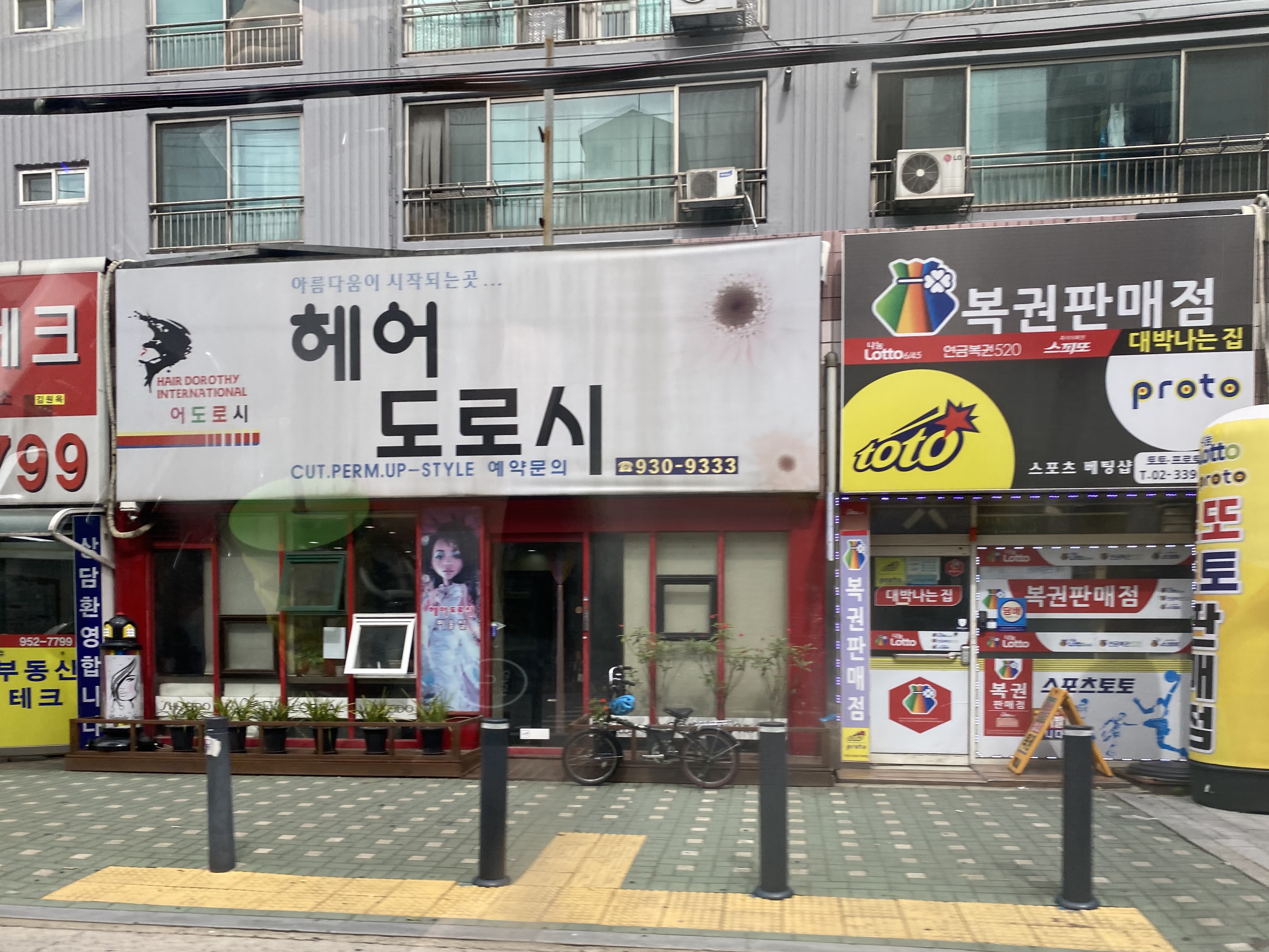 헤어 도로시