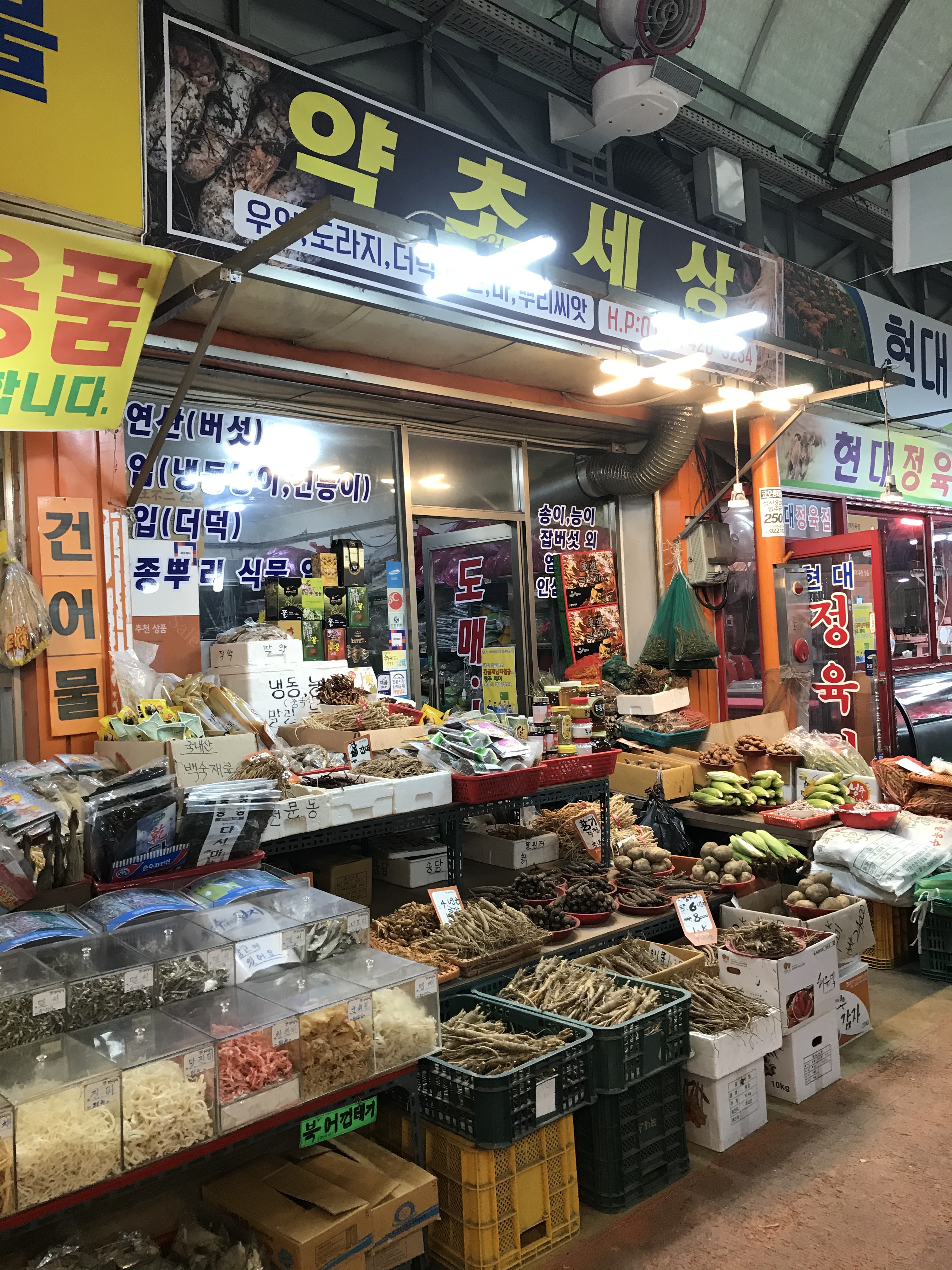 약초세상