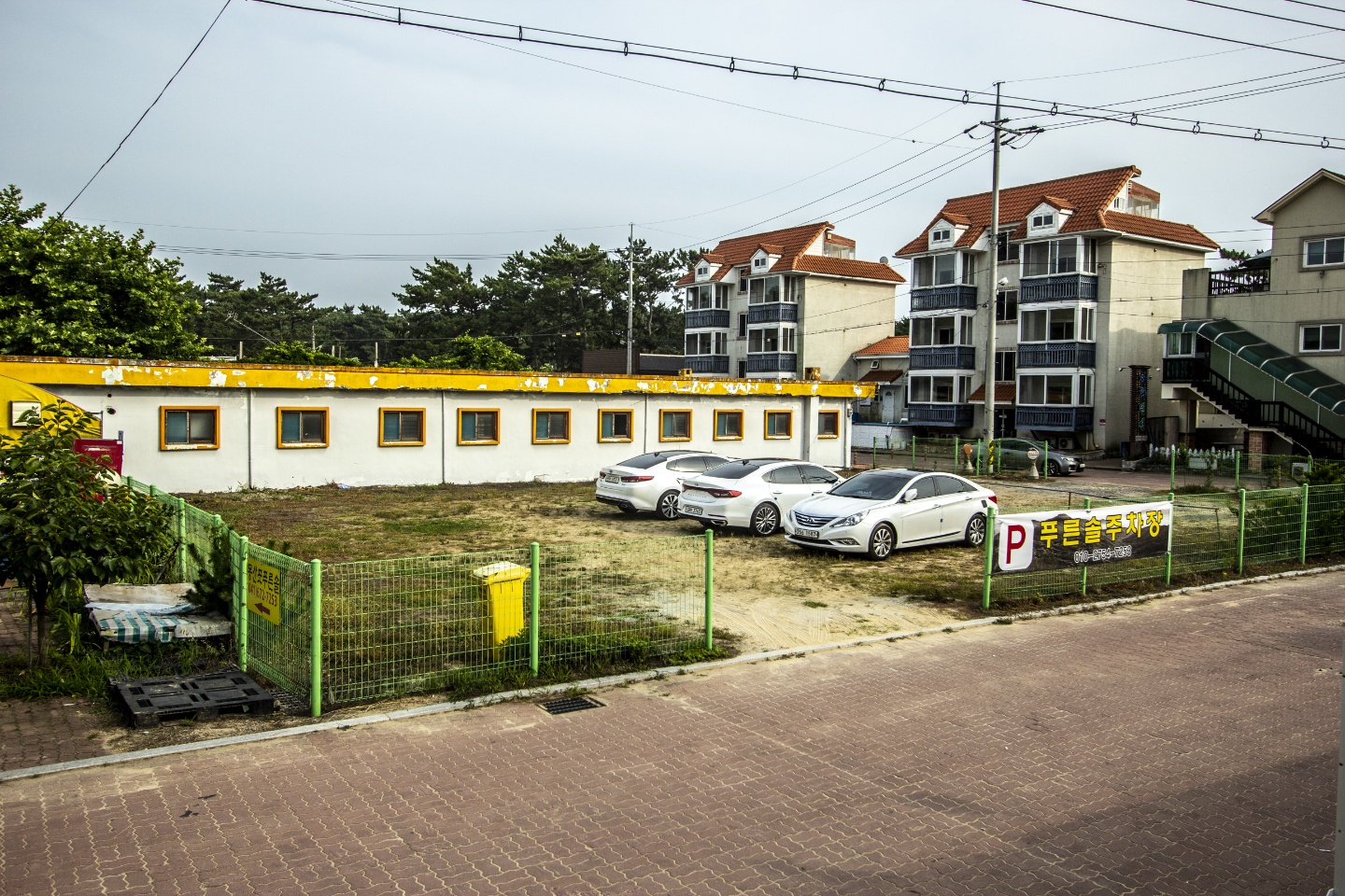 몽산포 푸른솔주차장