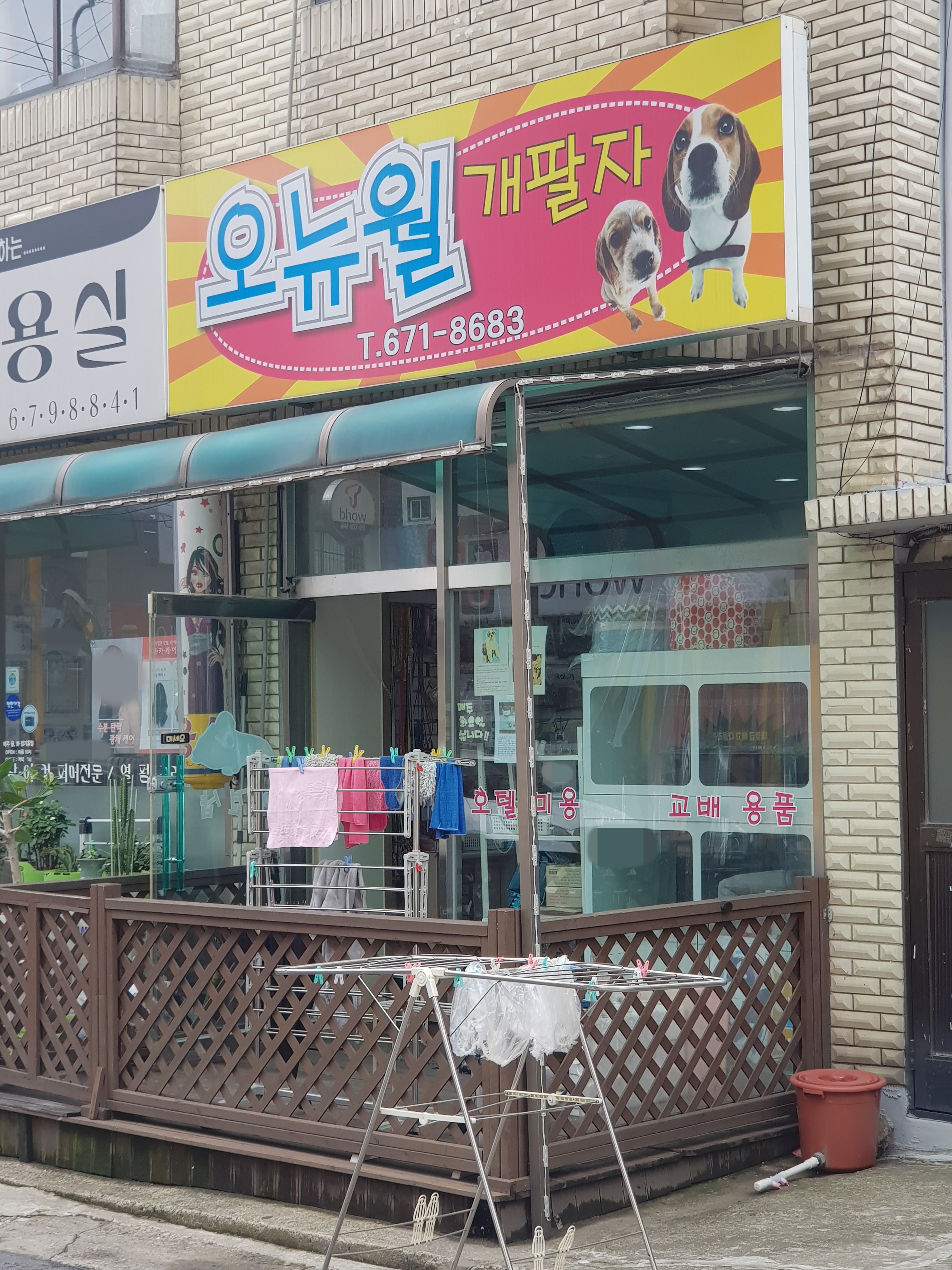 오뉴월개팔자 대표 이미지