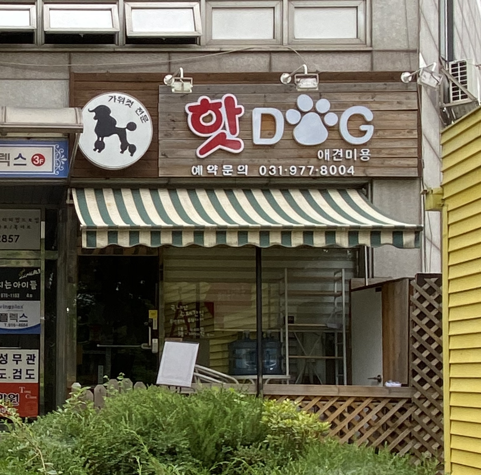 핫DOG 경상 애견숙소