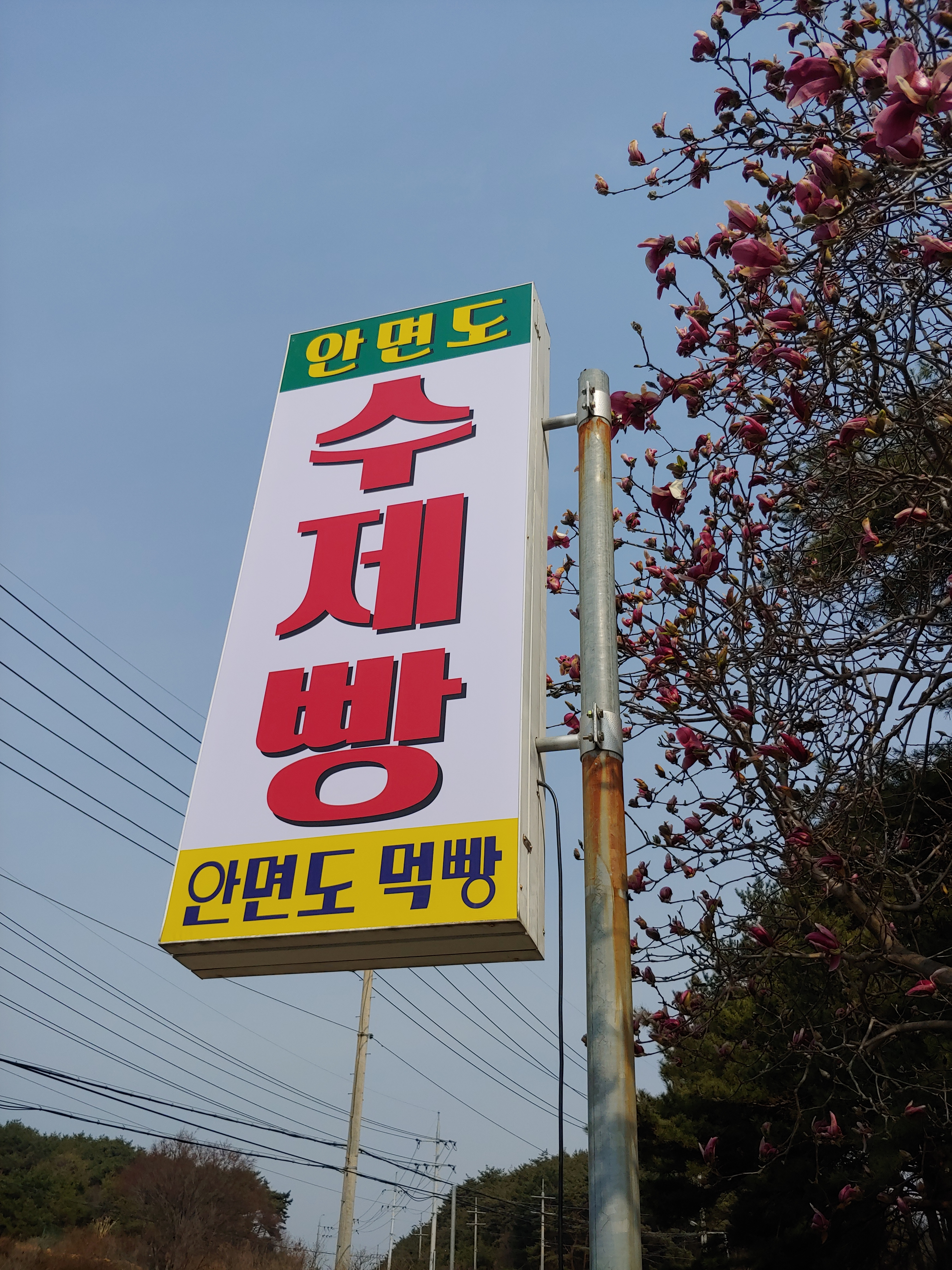 안면도먹빵