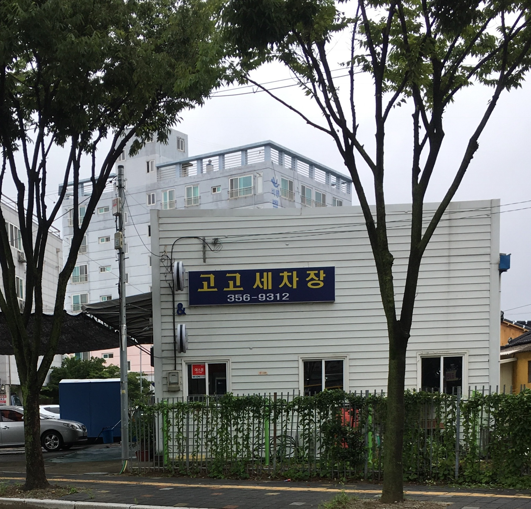 고고손세차