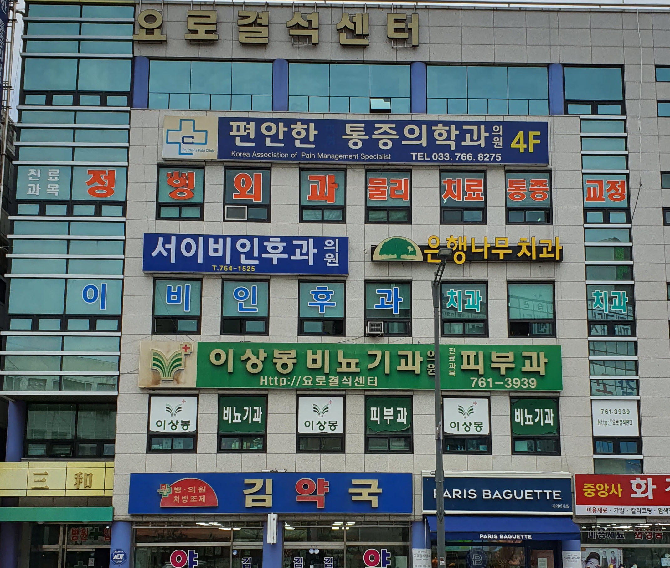 은행나무치과의원 대표 이미지