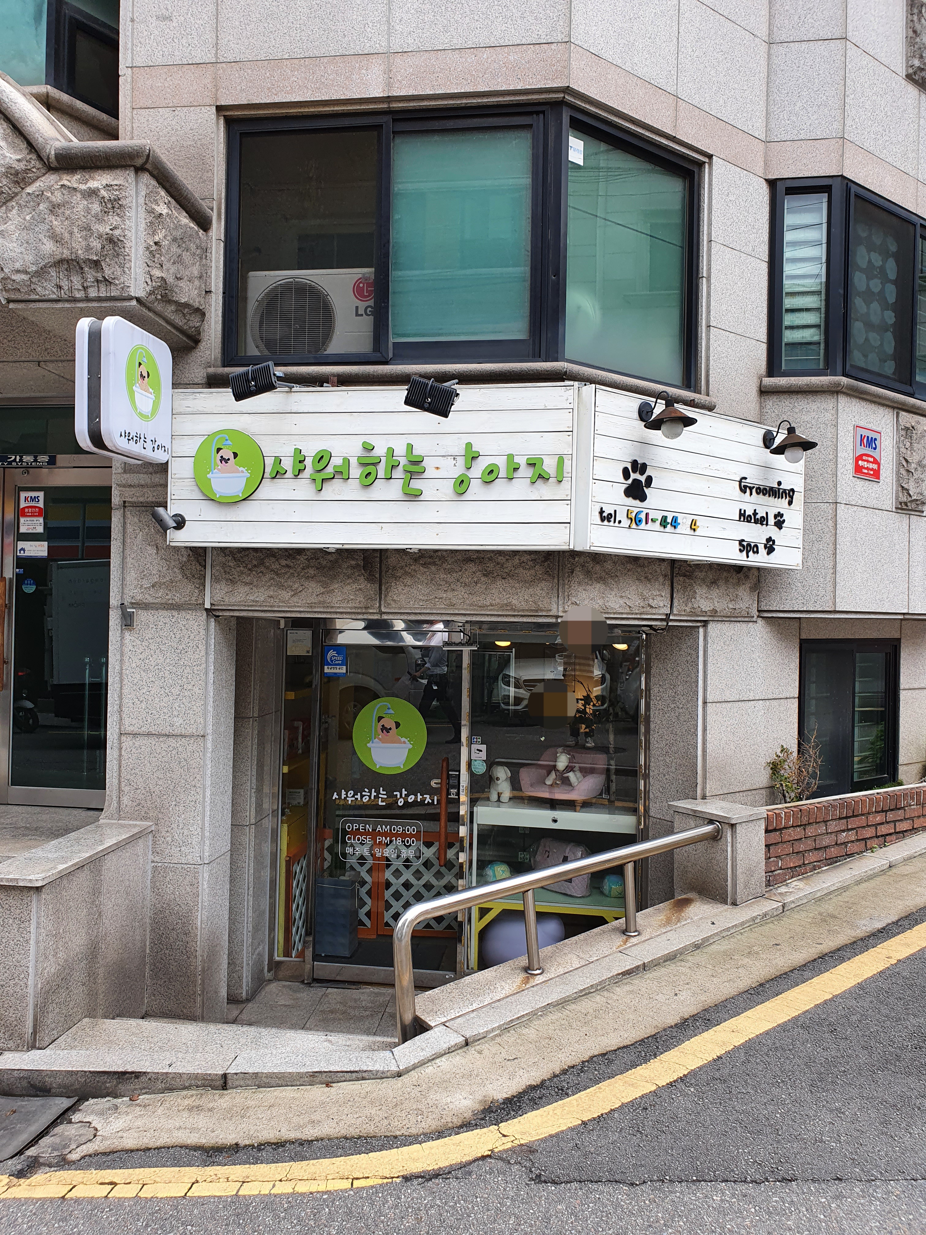 샤워하는 강아지 대표 이미지