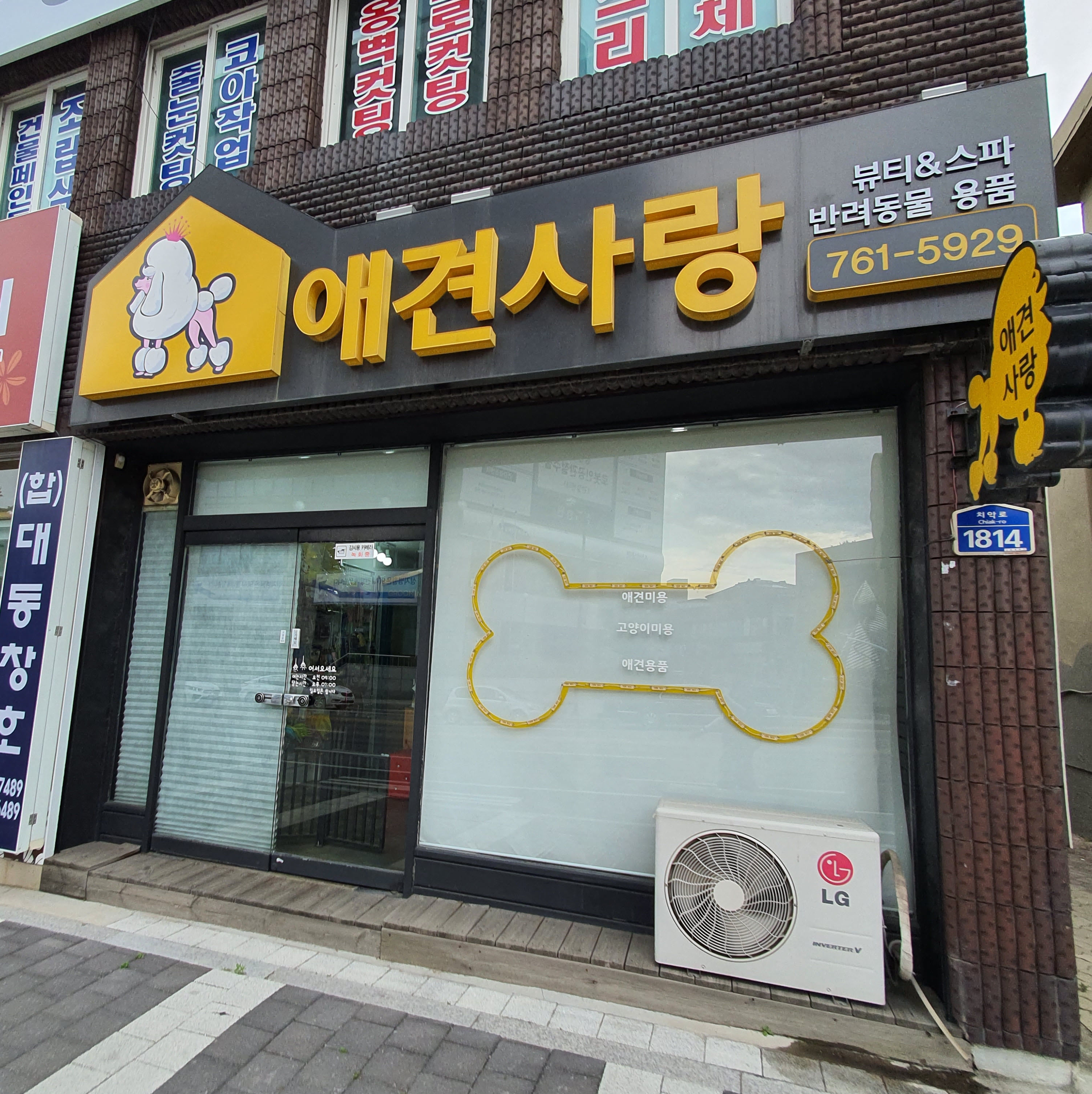 애견사랑 대표 이미지