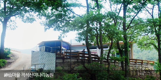 신선마을적석산미나리농원