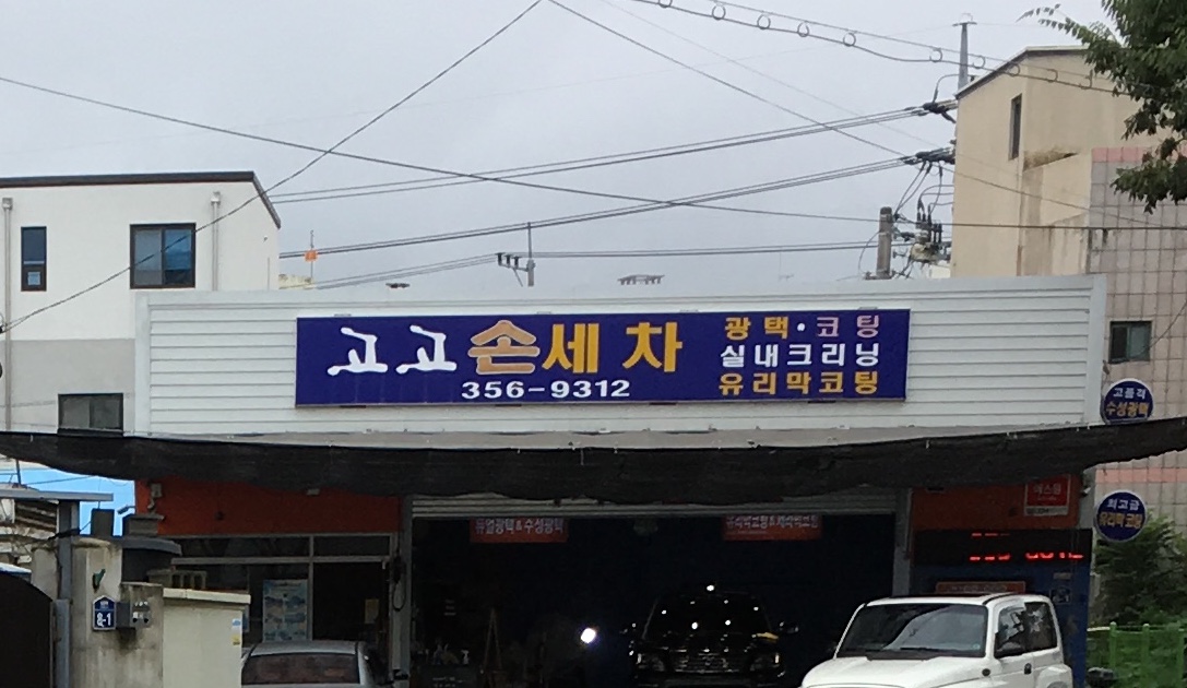 고고손세차