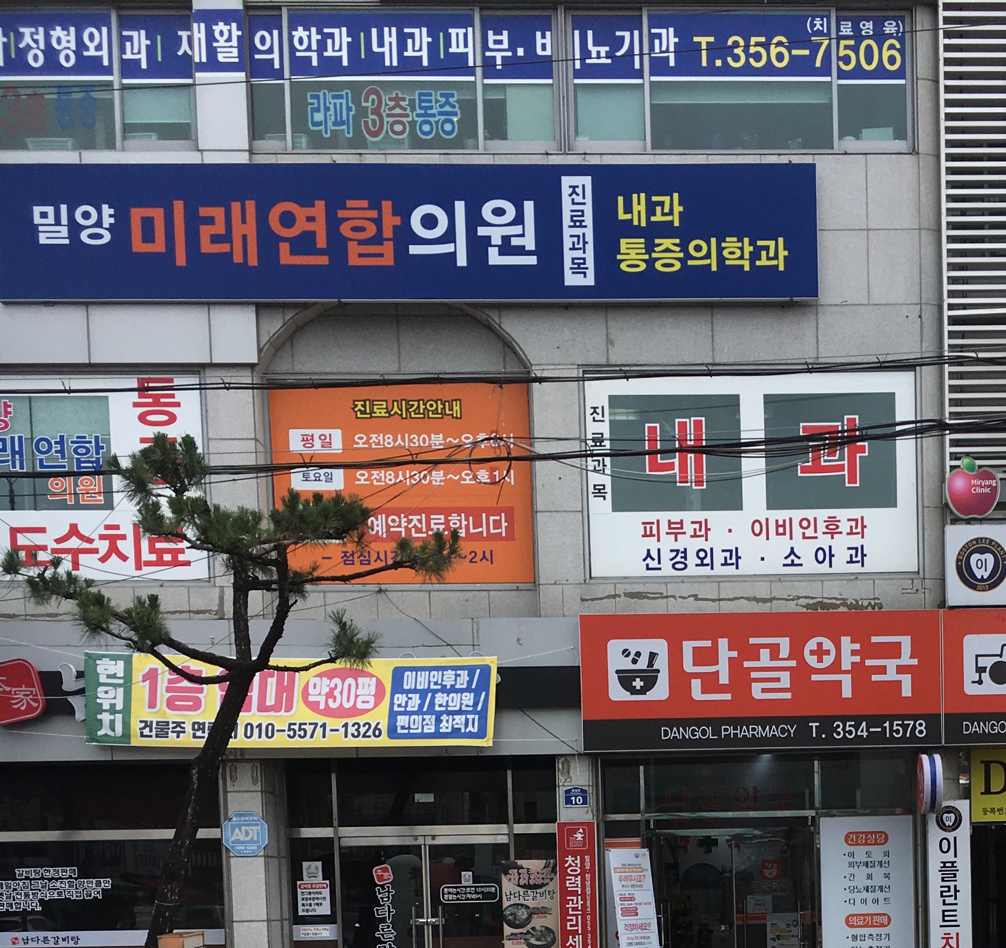 밀양미래연합의원