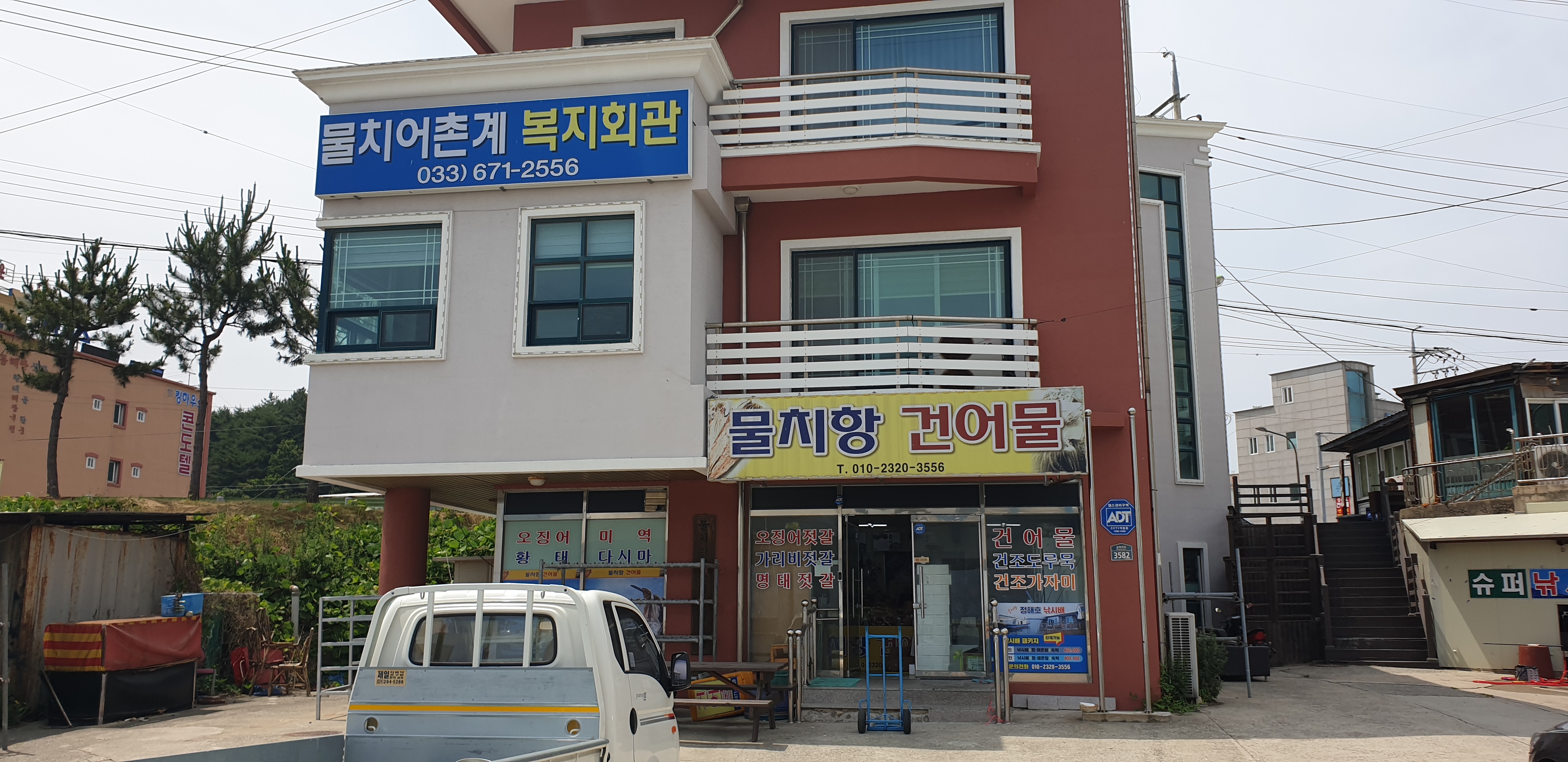 물치항건어물