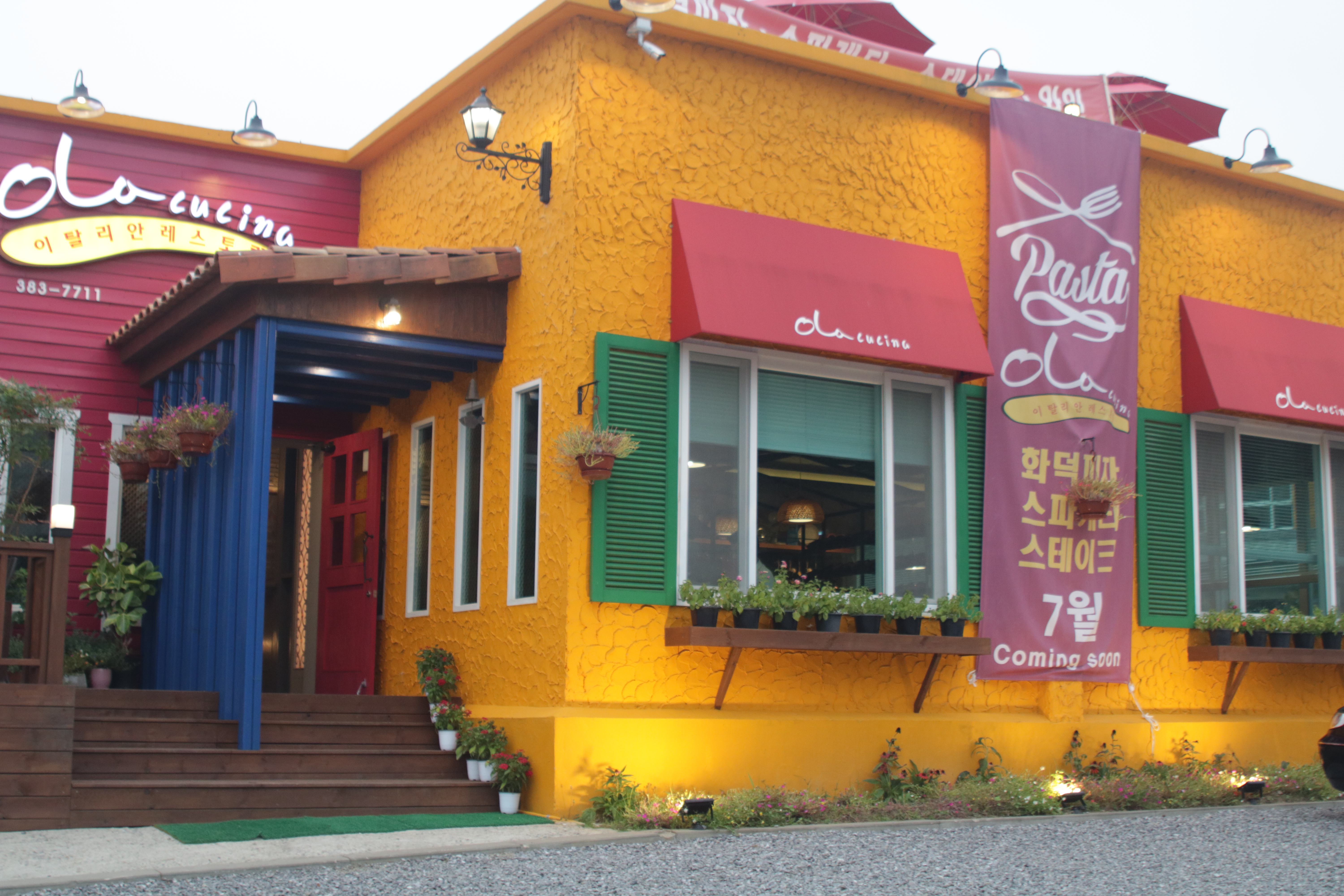 올라 쿠치나
