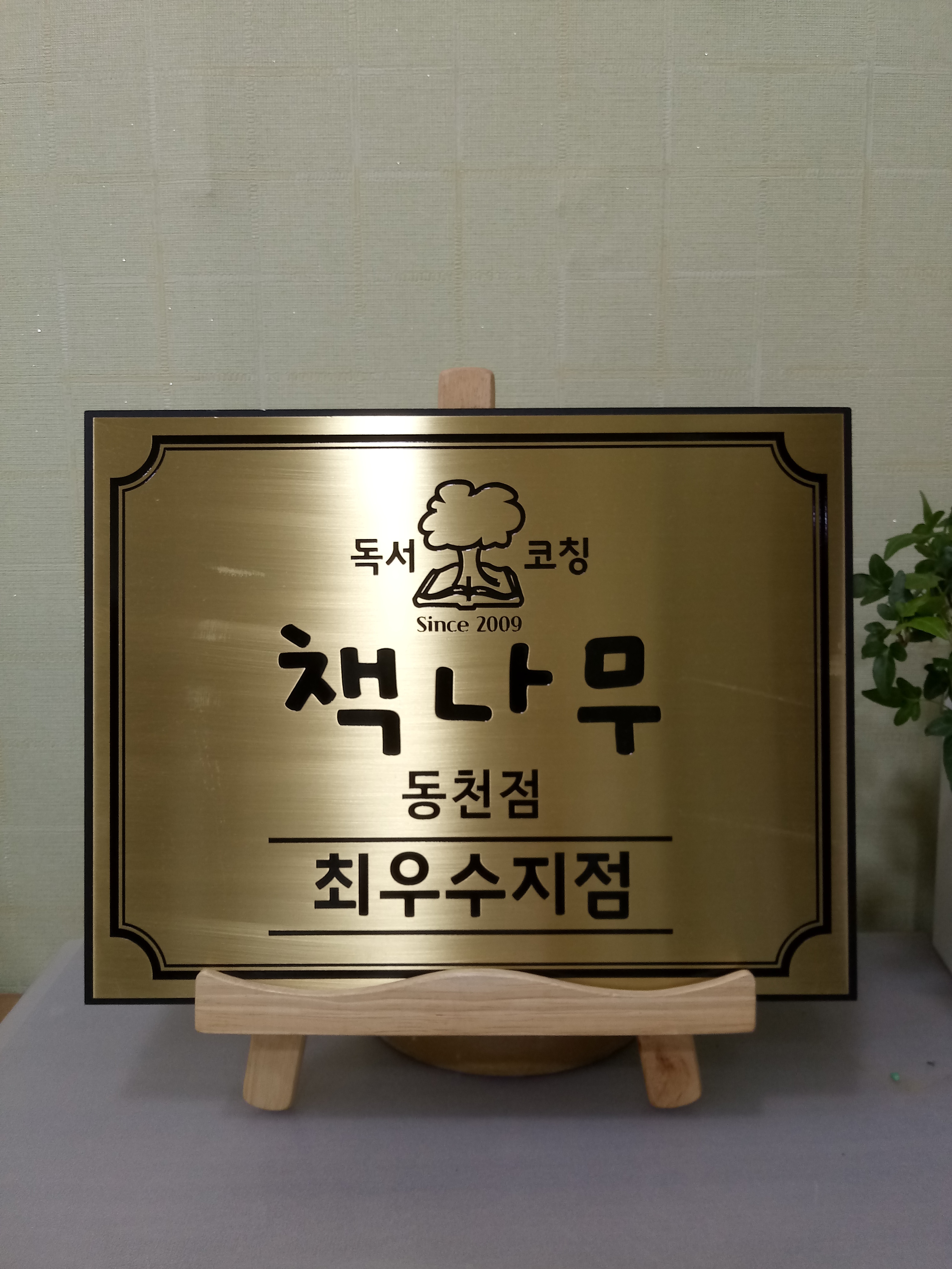 책나무